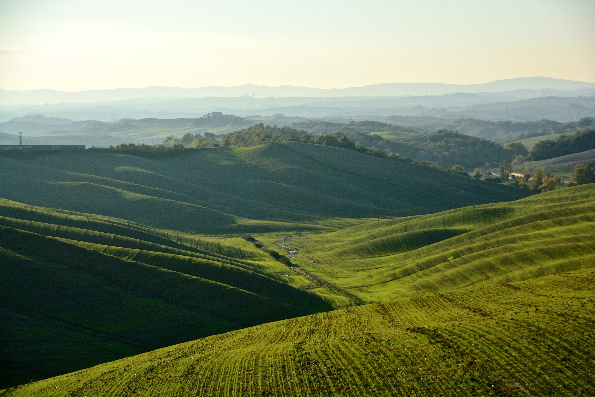 siena from the crete senesi