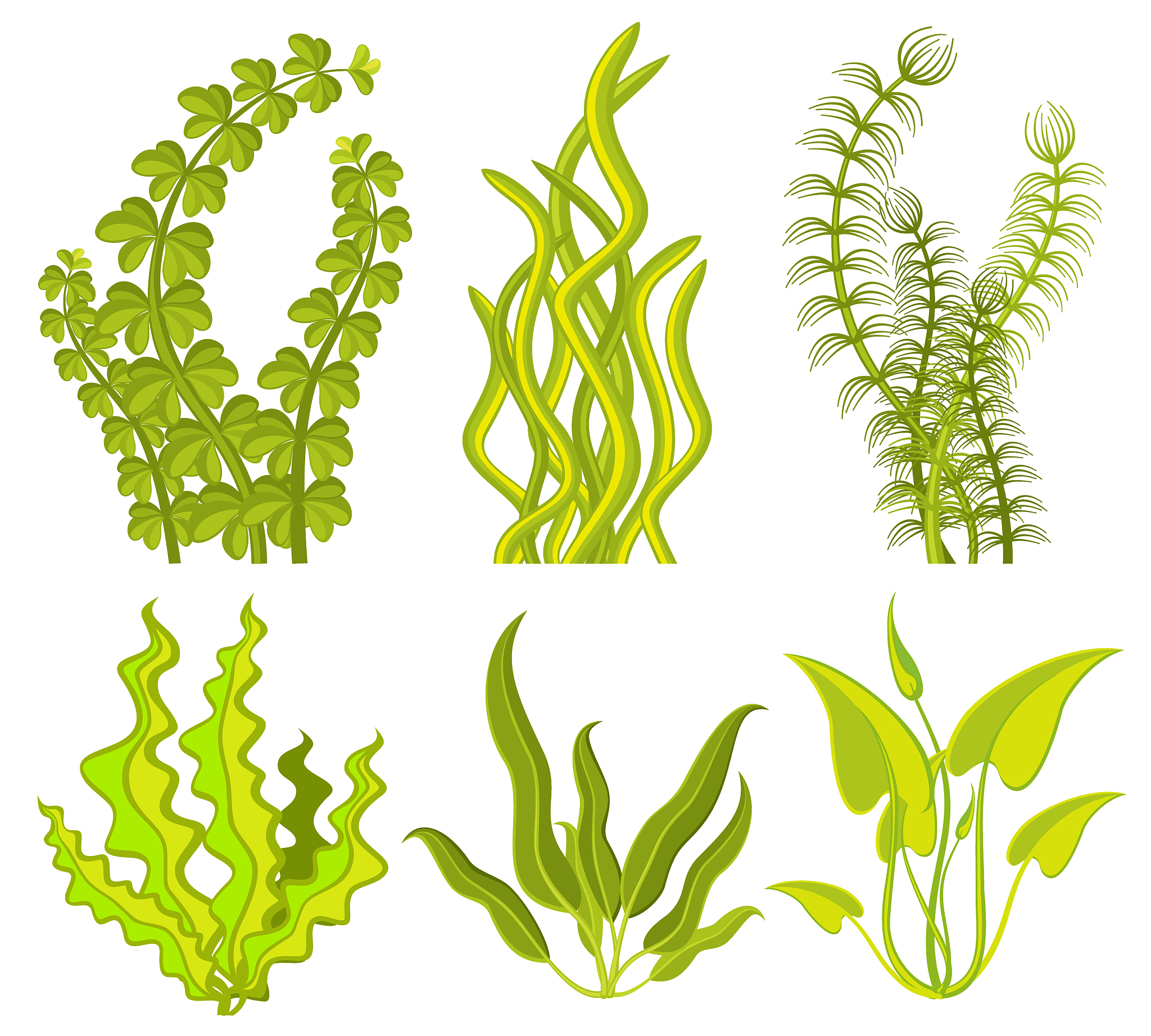 underwater seaweed elements