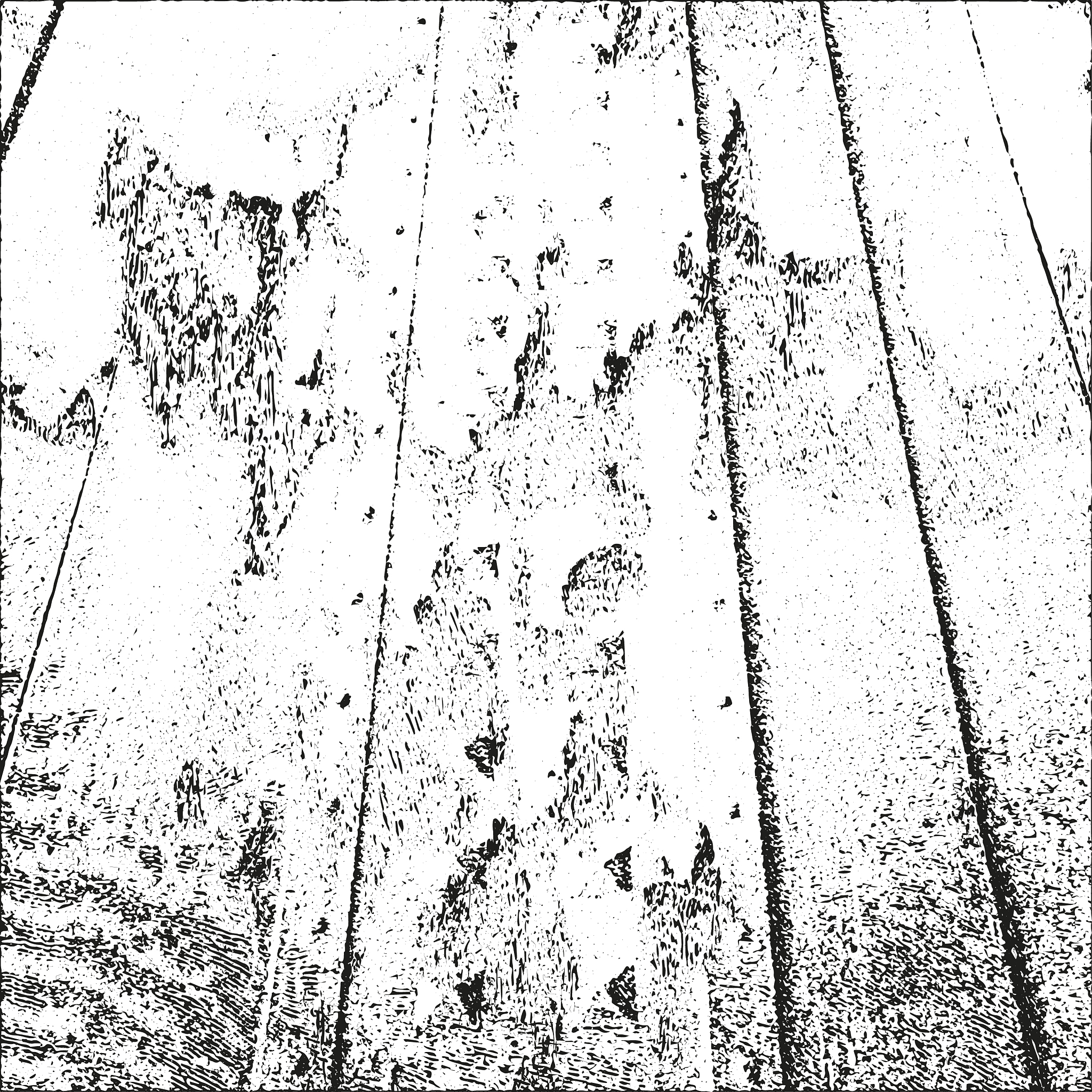 tree texture tree background tree effect