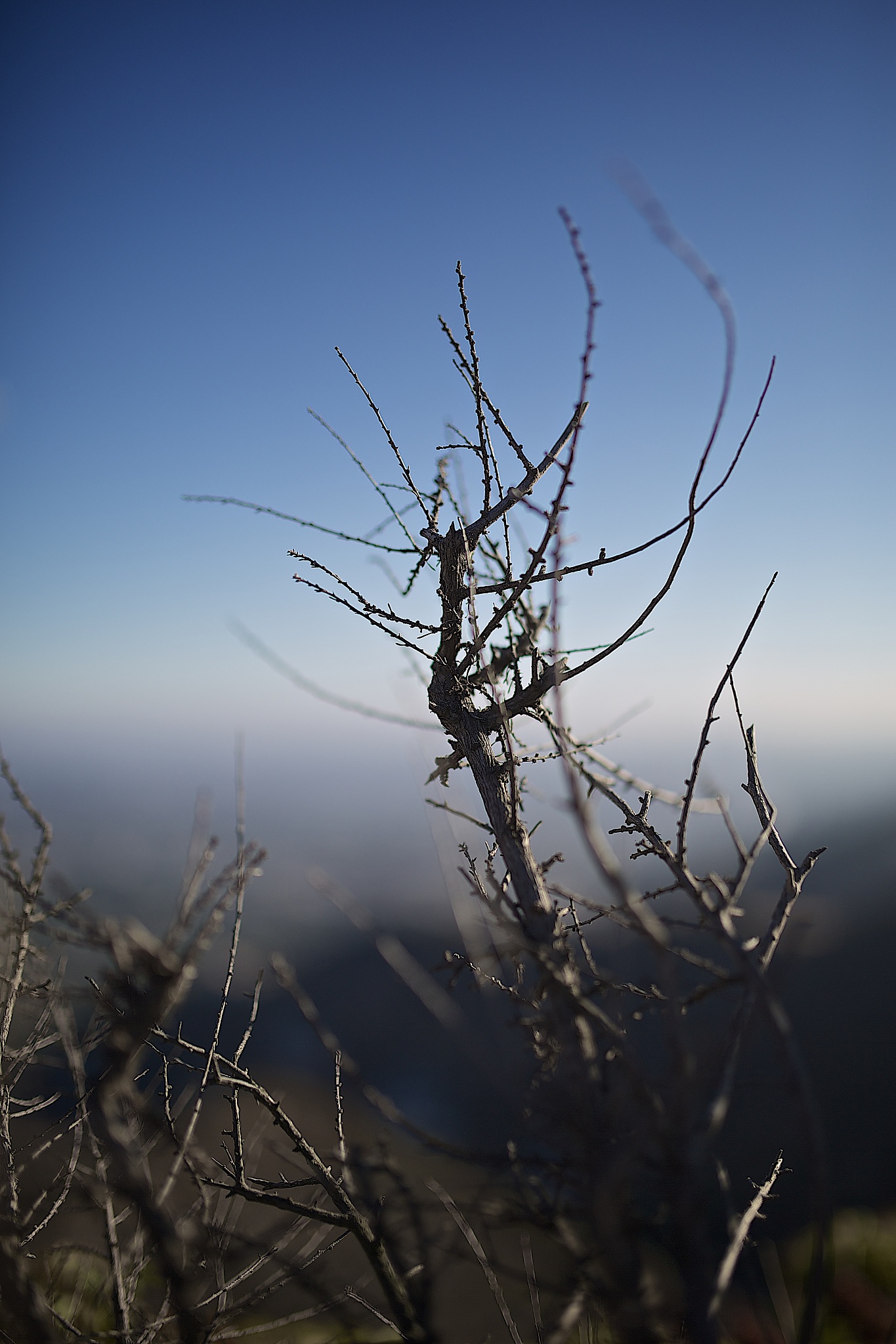 自然摄影比赛：捕捉自然之美，展现你的创意
