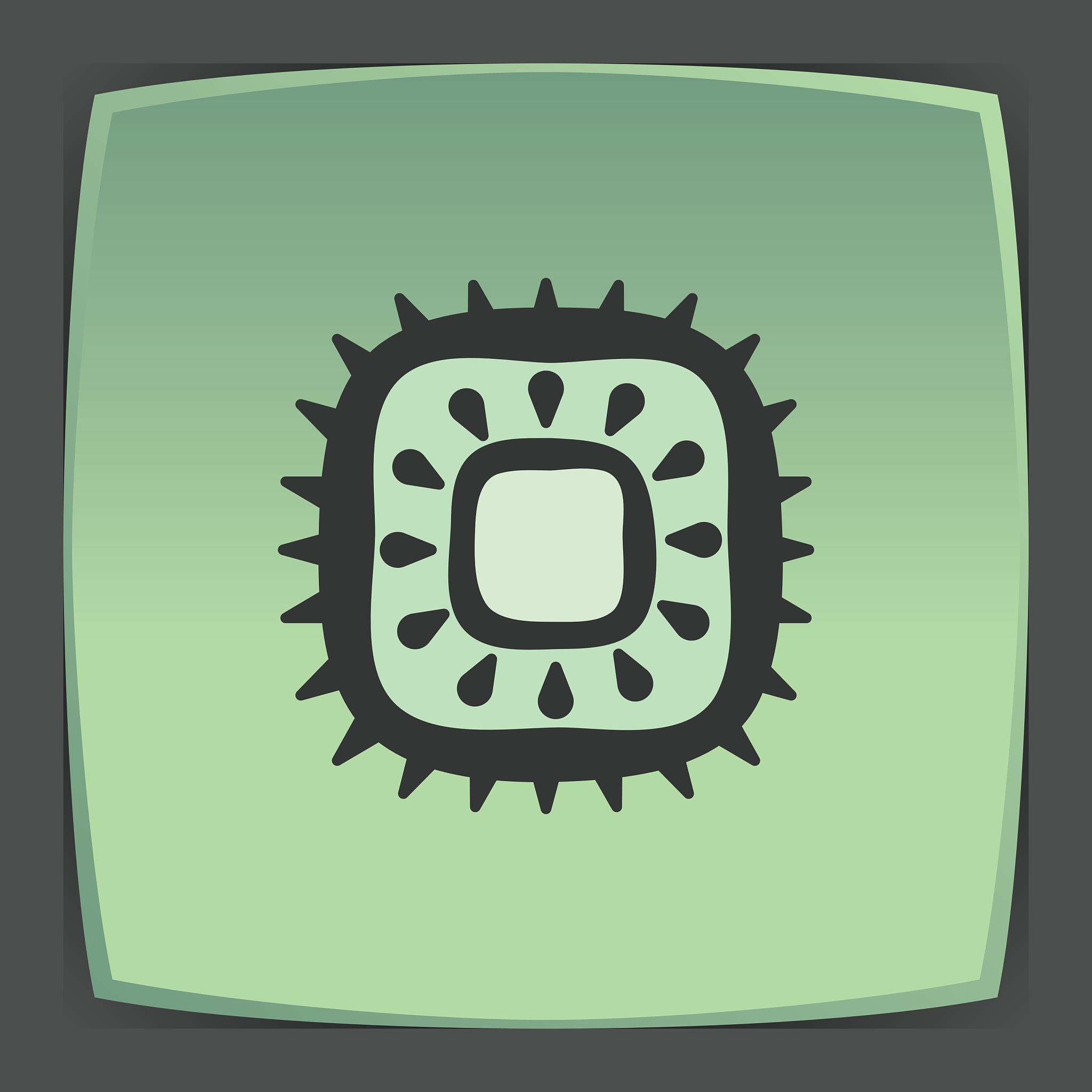 齐峰果业公司眉县猕猴桃产品营销策略优化研究：国外研究现状