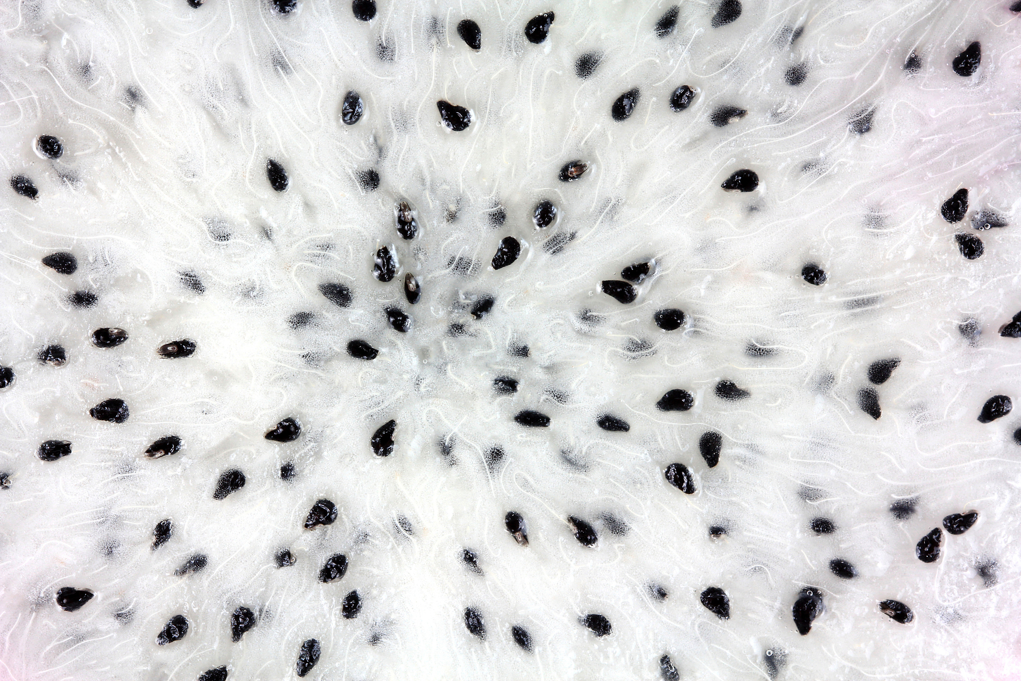 一个火龙果有多少籽