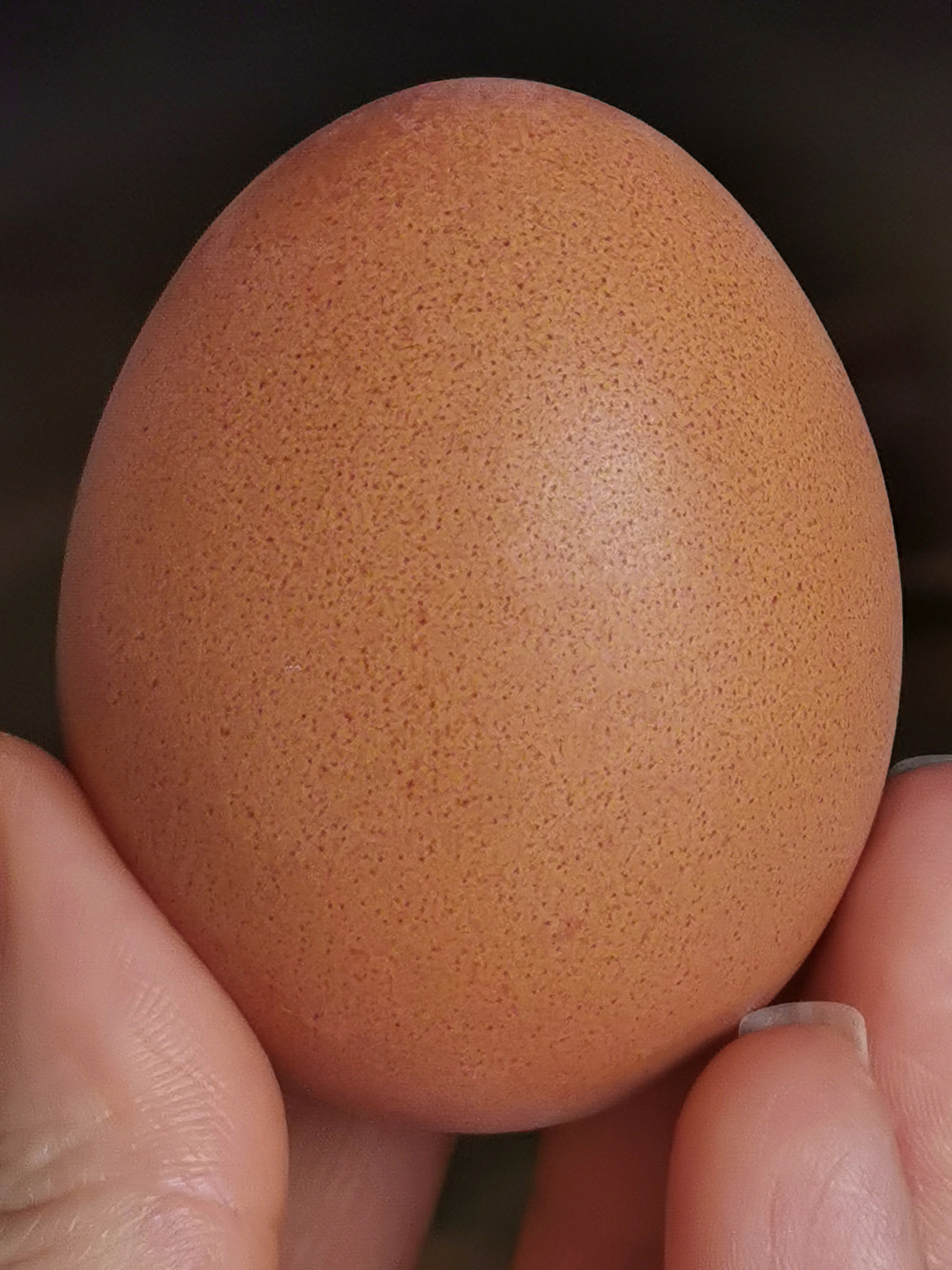 鸡蛋蛋黄富含维生素A吗？ - 满足每日营养需求的关键