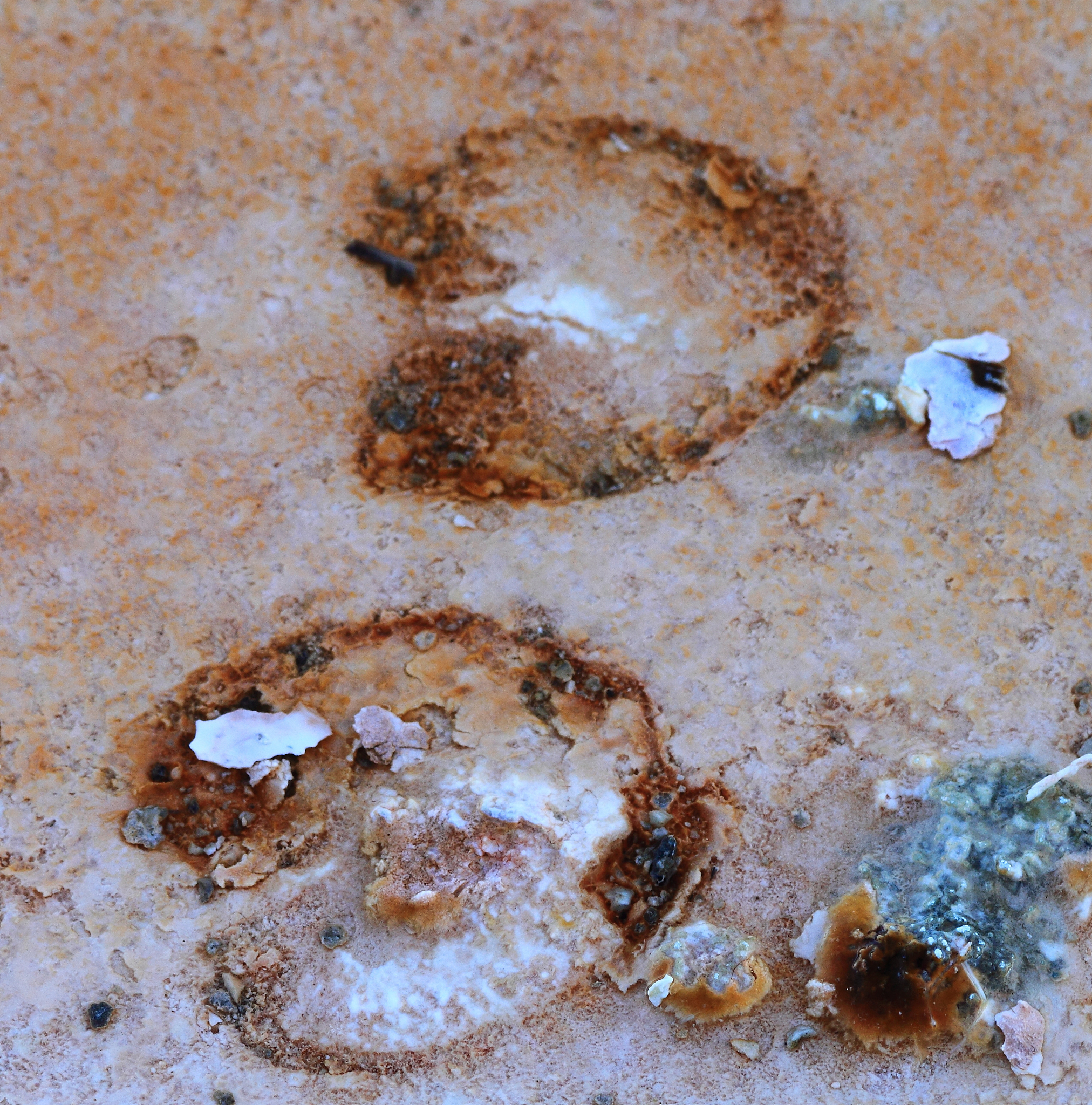 尿素结块原因及预防措施