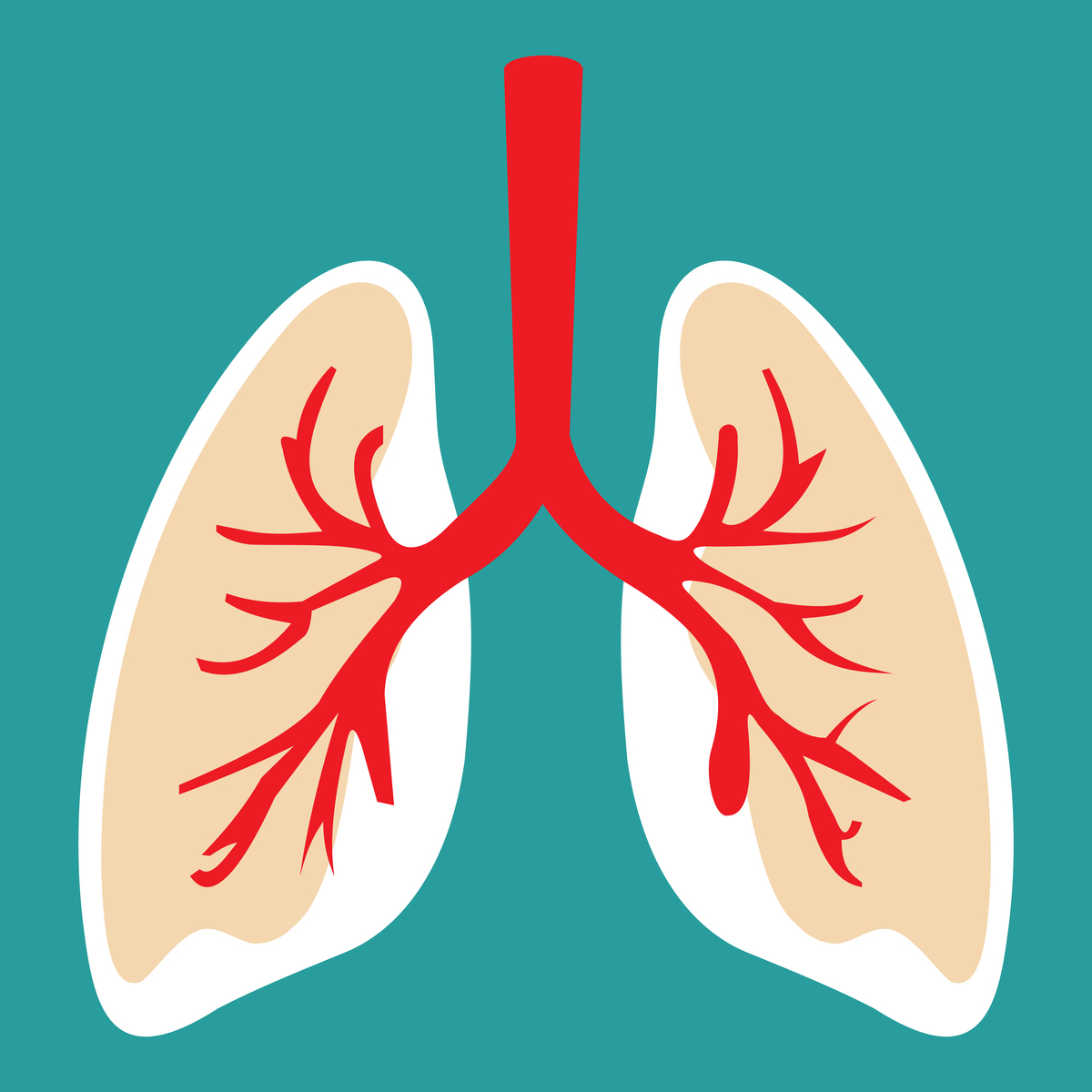 肺部感染的护理