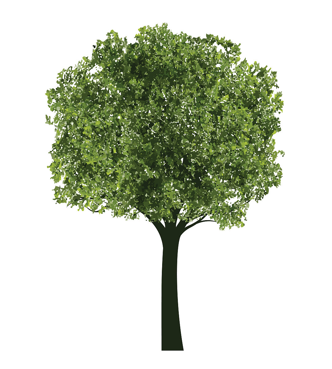 北京市园林学校联系方式是什么？