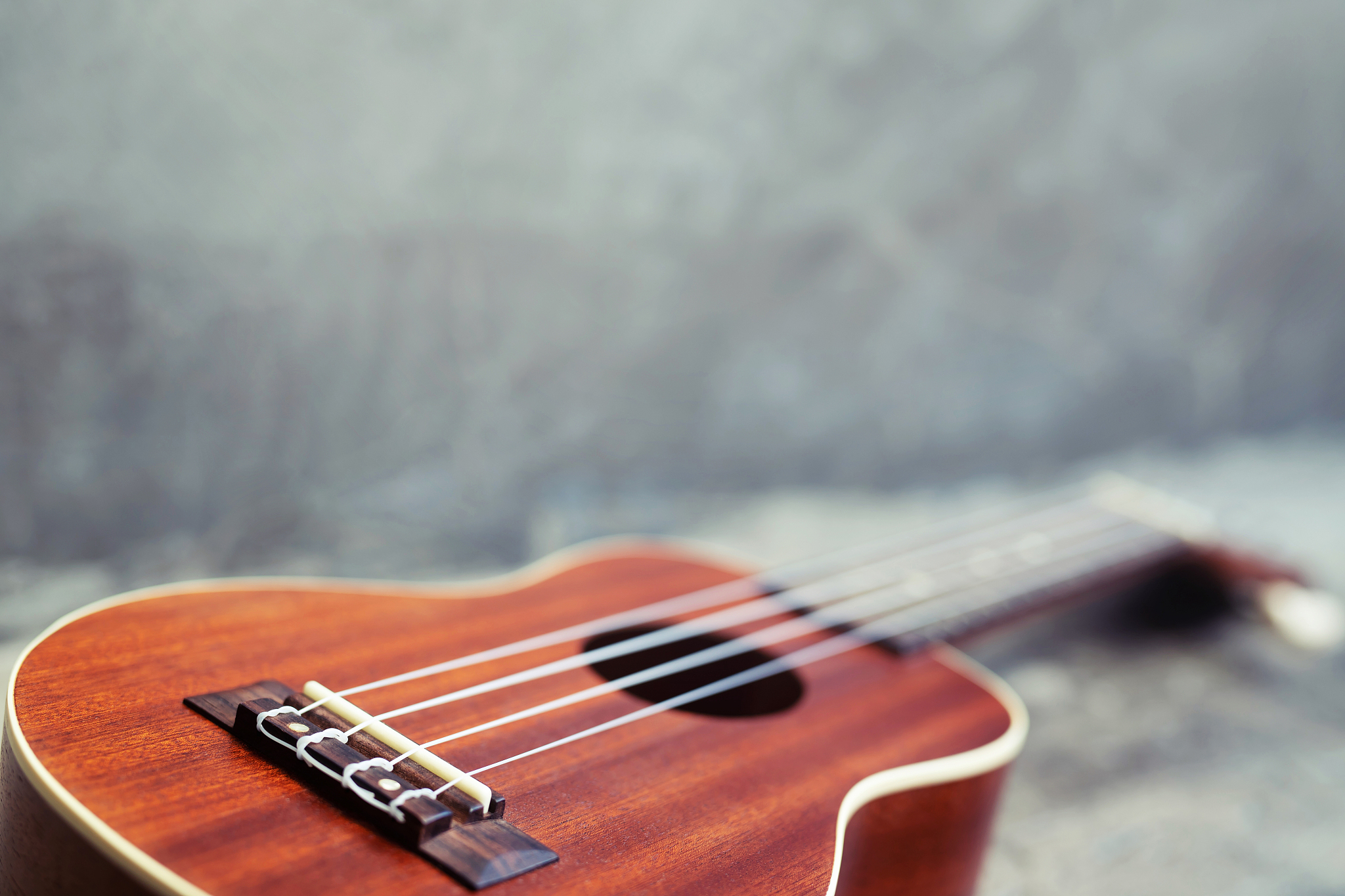 绵阳市艺术学校招生专业：音乐、舞蹈、美术