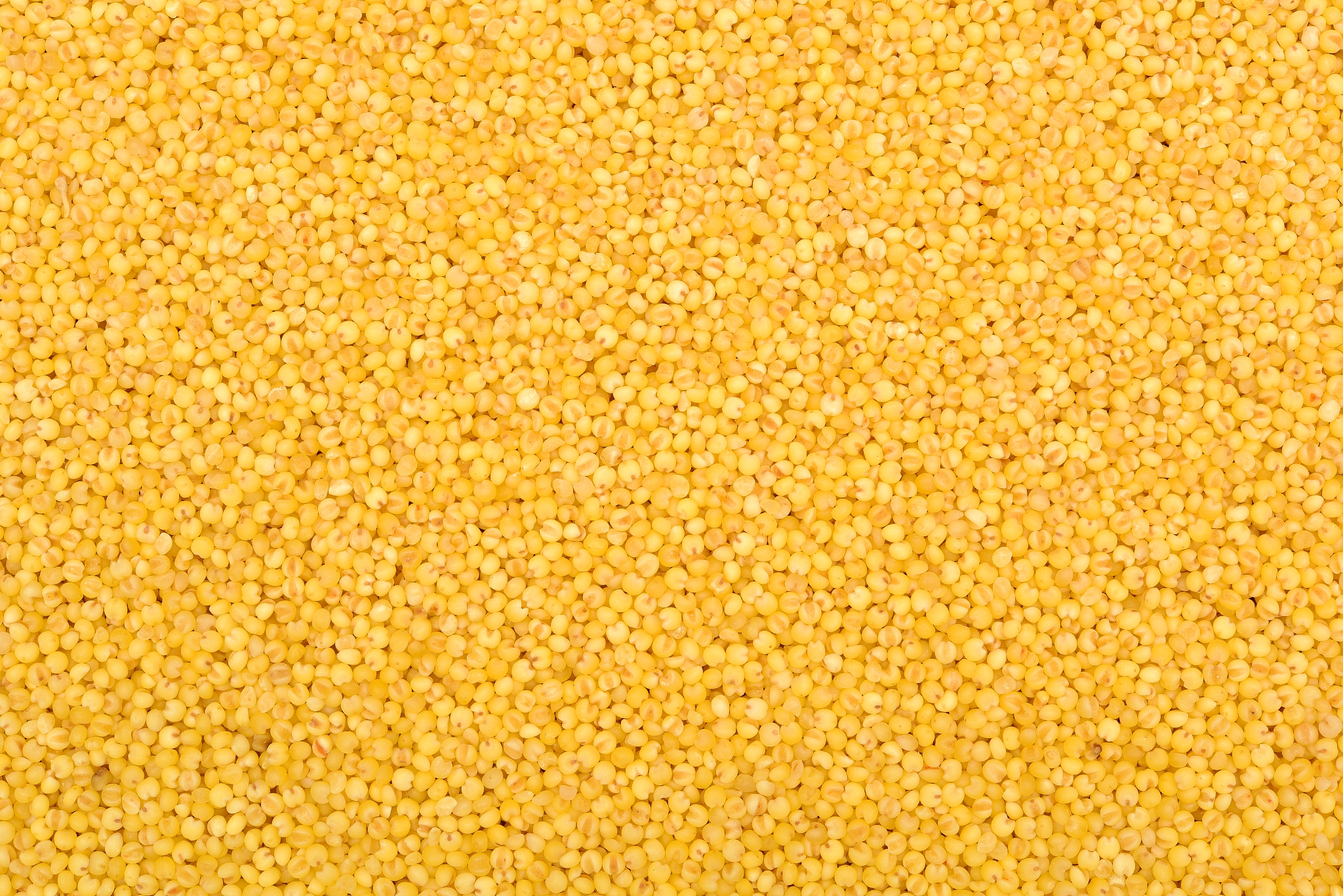 millet background