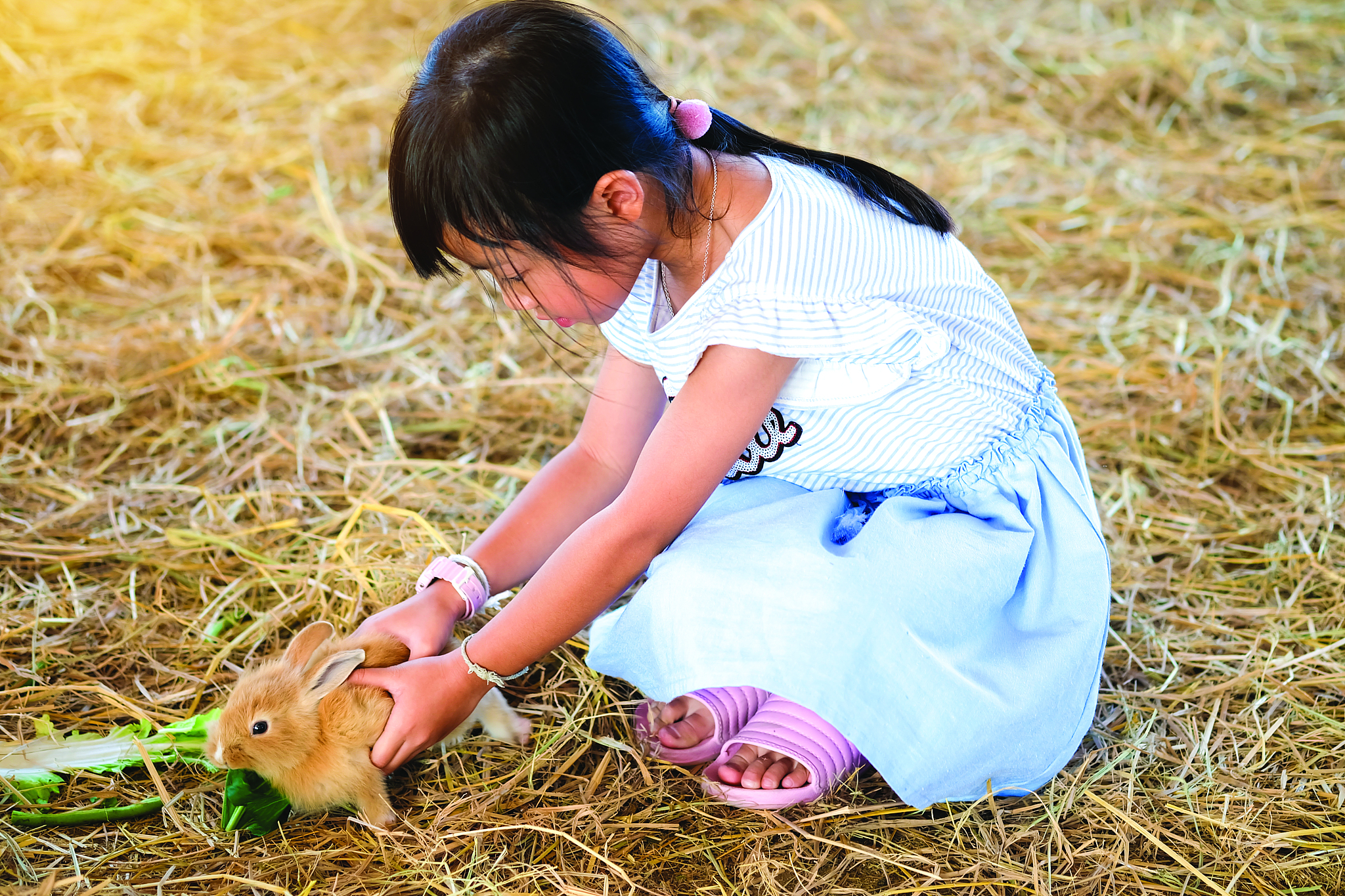童年的生活是丰富多彩的有趣的事情像天上眨着眼睛的星星一样多。请以我的童年选一个故事写400字作文