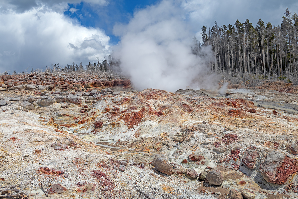 气候变化对加拿大东部森林火灾影响大于人为因素