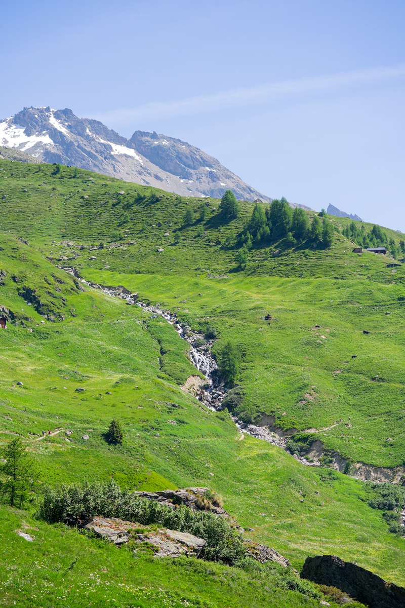 你可以根据这段描述进行角色扮演并和我聊天吗她叫英格丽德