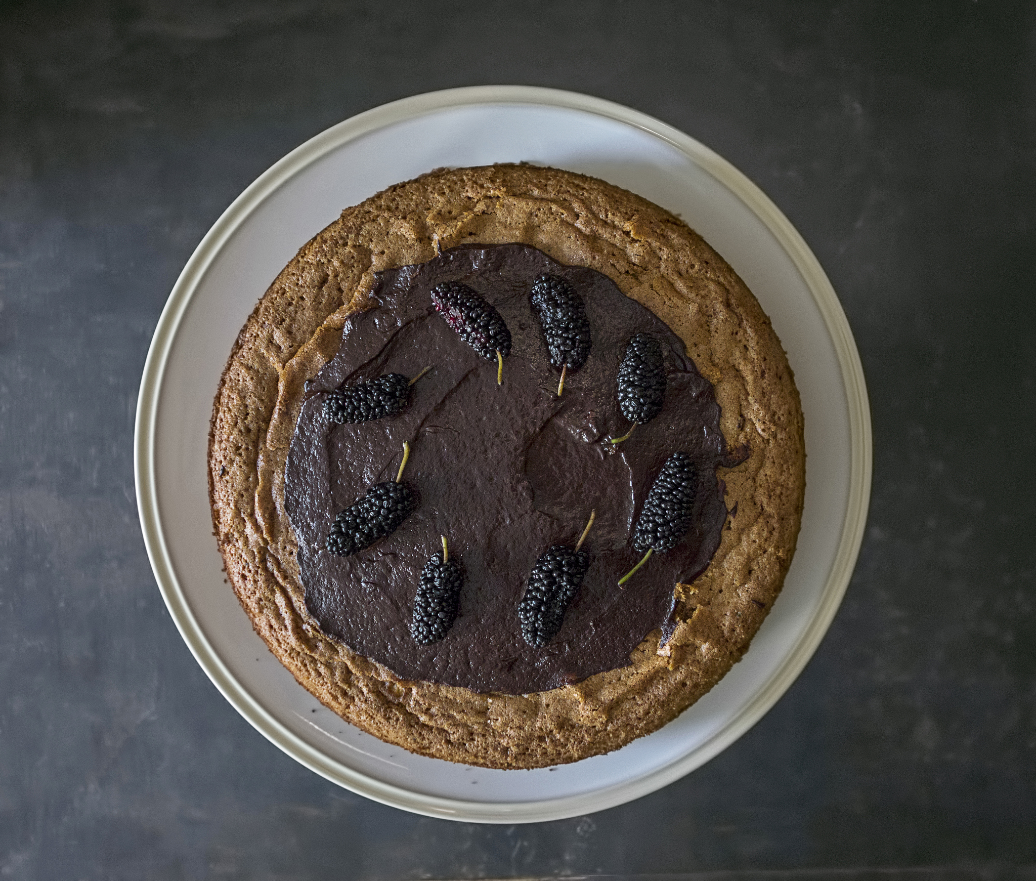 巧克力中可能含有昆虫残骸吗？