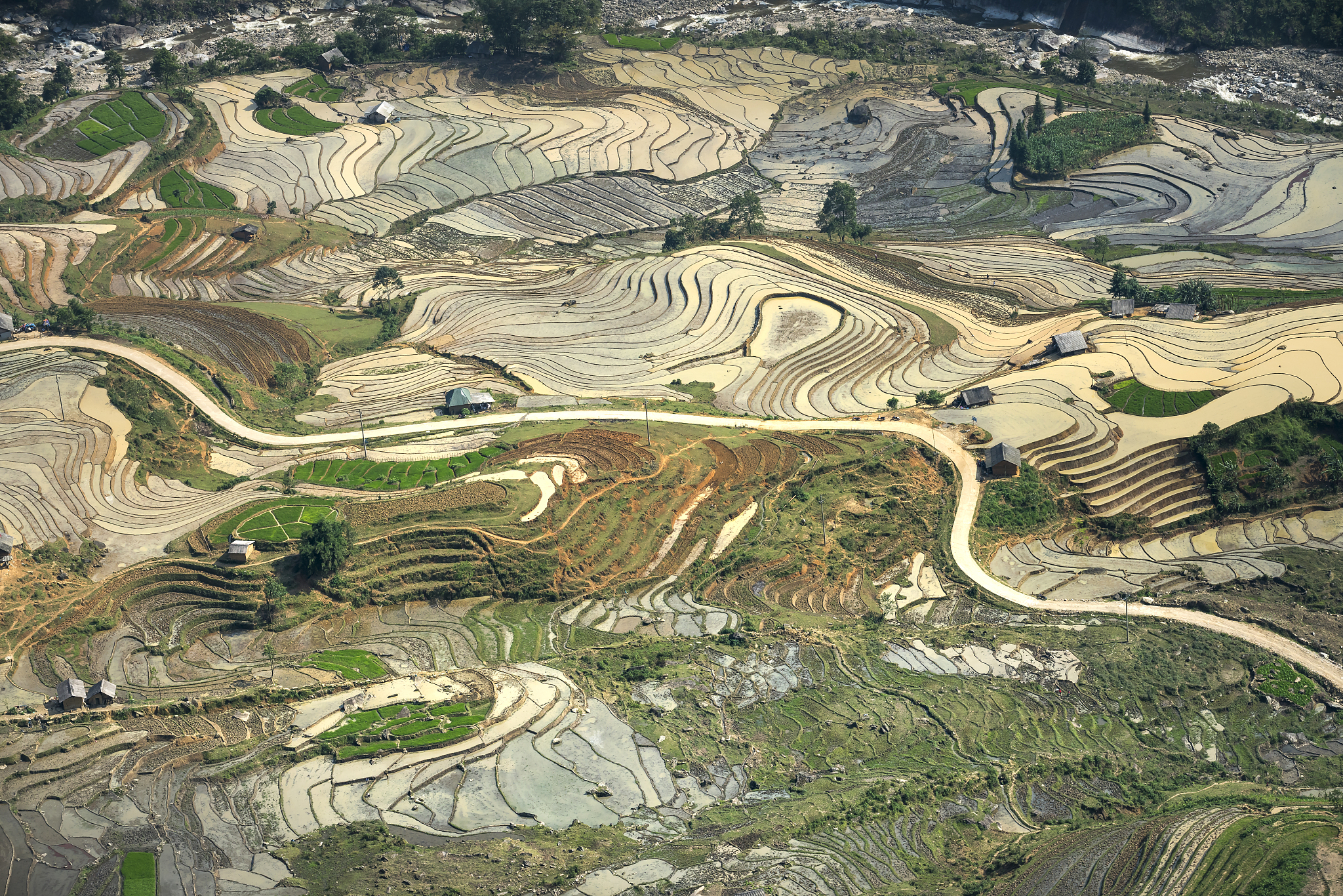the image is as beautiful as the oil painting of terraced field