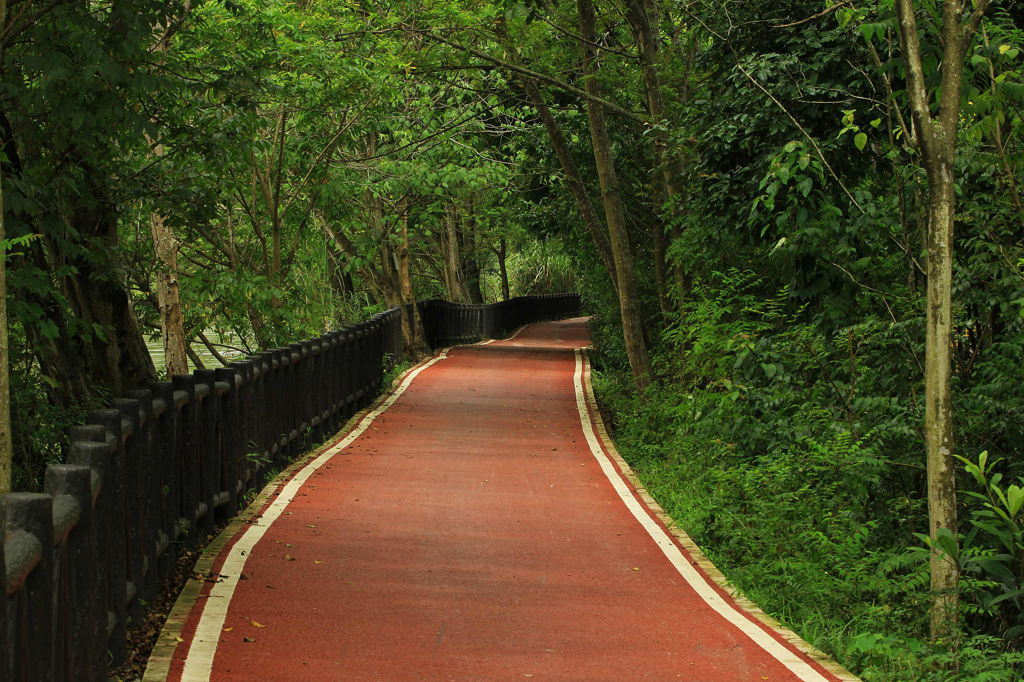 上海青浦区绿道:打造绿色休闲空间,畅享生态之美