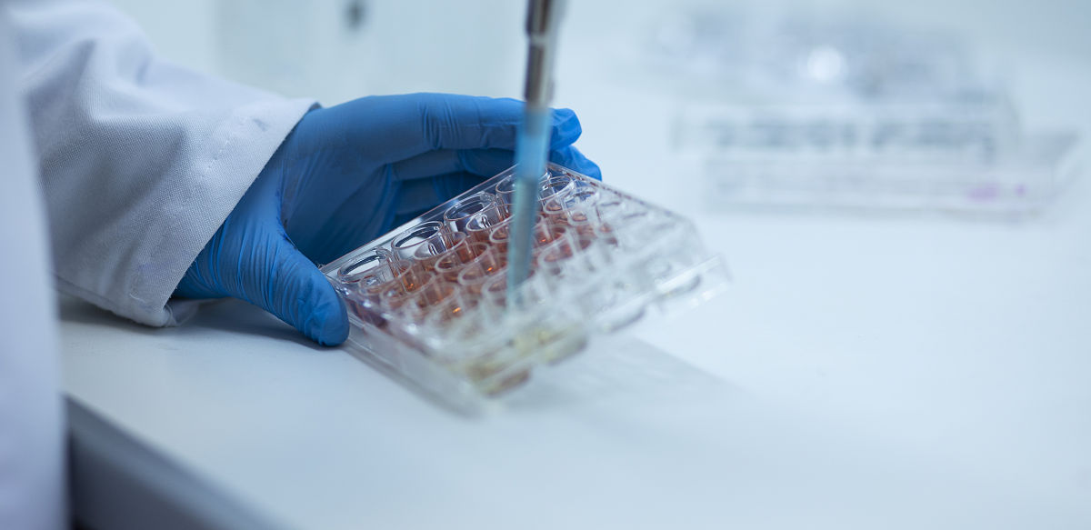 生物医学图像拷贝检测方法大全：技术详解与应用场景