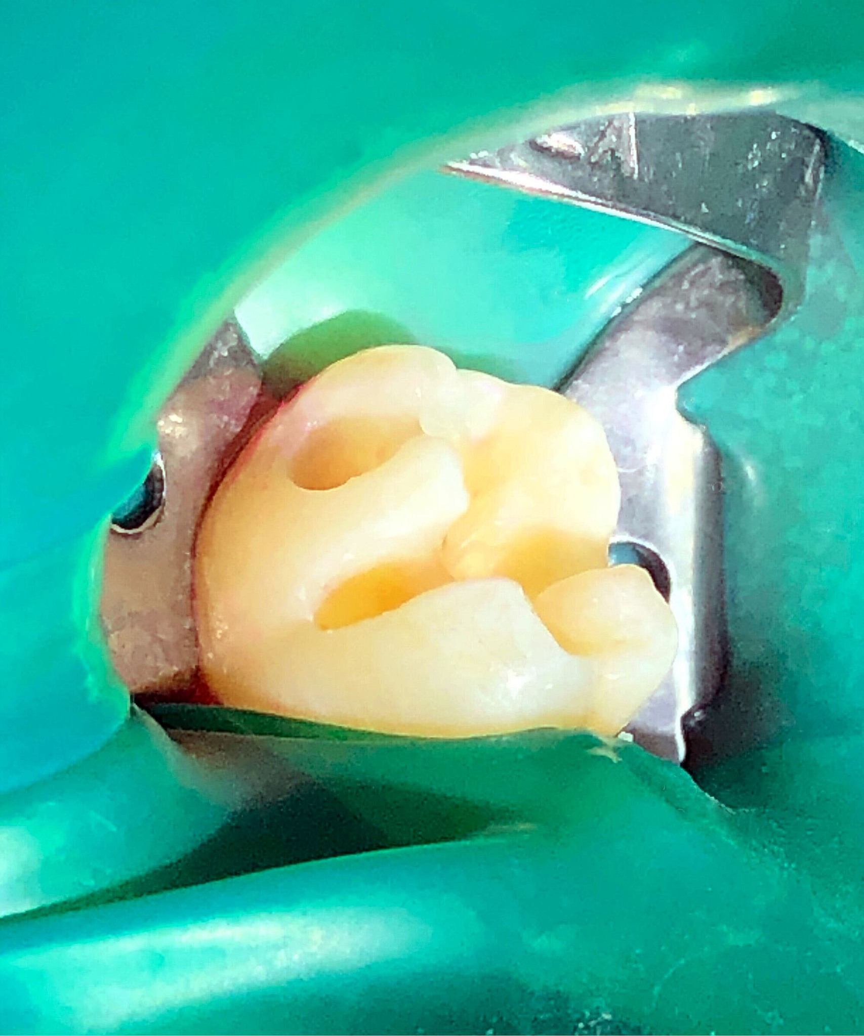 昆明卫生职业学院2020年春季招生简章 | 医学类专业人才培养基地