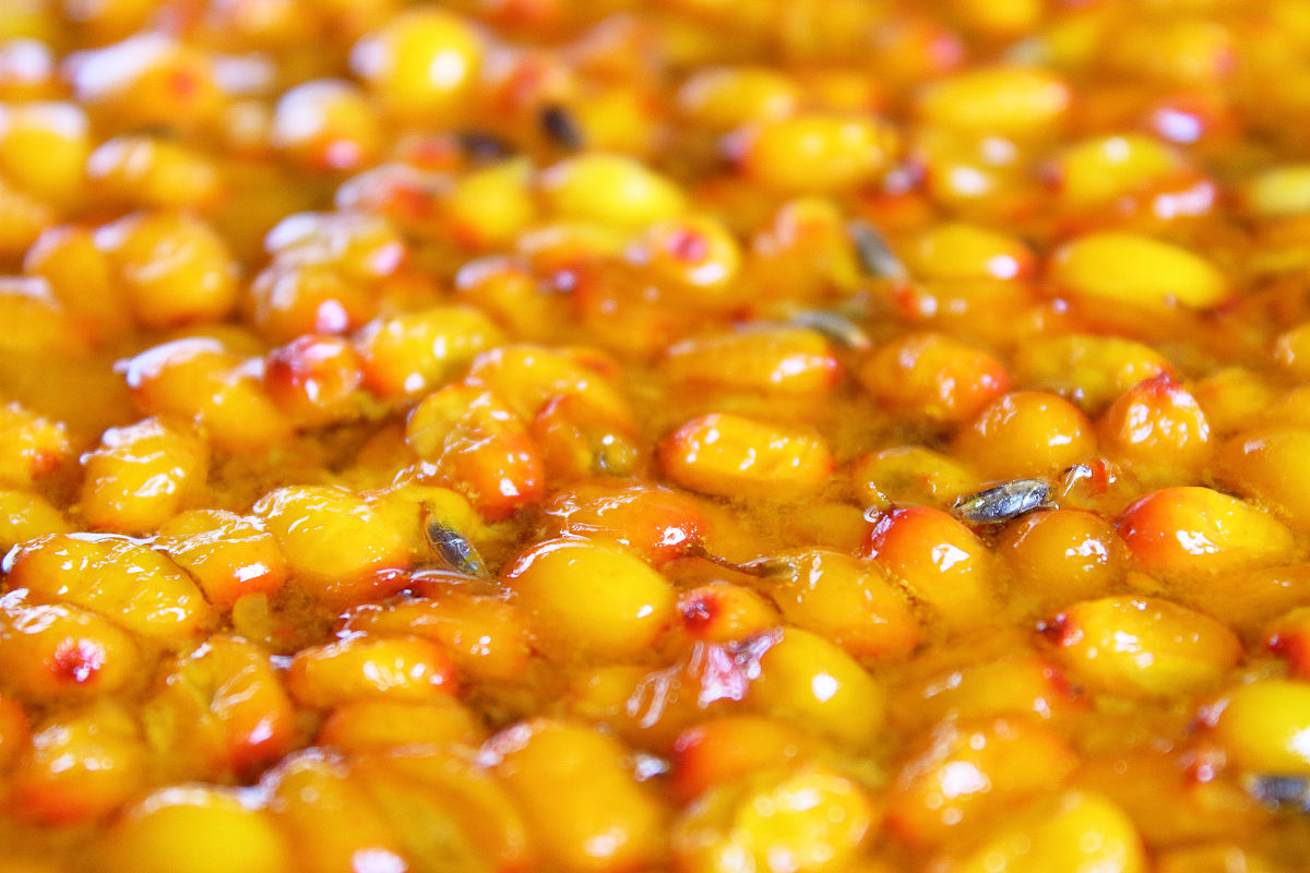 用以下内容帮我写一个新闻稿文案以及标题 专家采访活甚太参鹿扶正胶囊揭秘效果效果很好【产品名称】活甚太参鹿扶正胶囊【主要成份】人参、熟地黄、杜仲、枸杞子、巴戟天、牛膝、茯苓、沙棘、胡芦巴、天冬、五味子、五加皮、肉苁蓉、鹿角胶、山药、酸枣仁、桑椹、白术、半枝莲、猫爪草。【性状】活甚太参鹿扶正胶囊为硬胶囊内容物为浅棕褐色至棕褐色粉末；气微香味微苦。