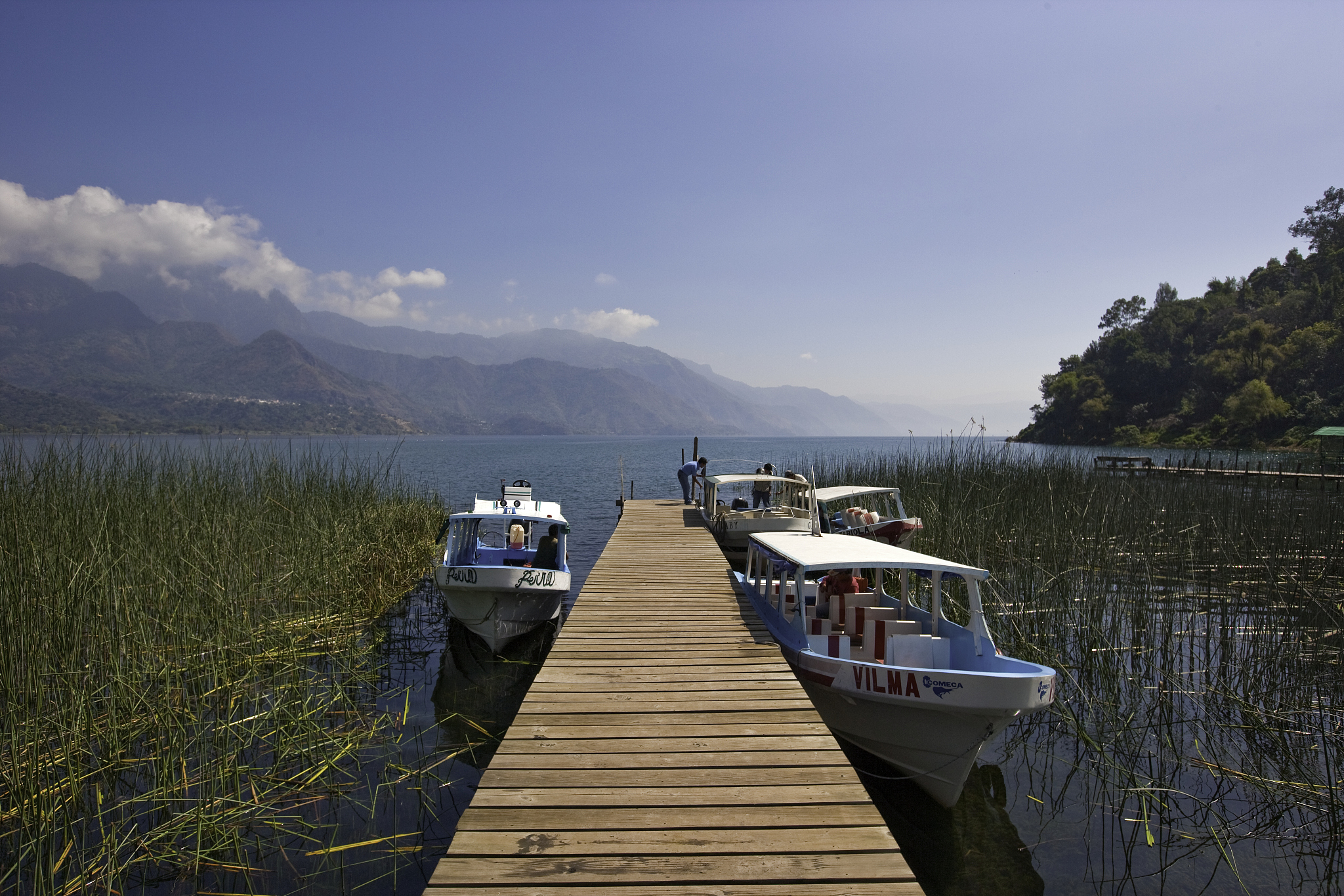 公司档案数字化调研报告：现状、优势、挑战及建议