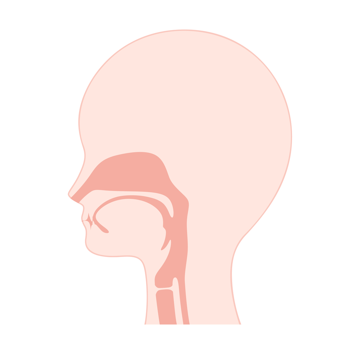 声带闭合脖子后面肌肉需要用力吗