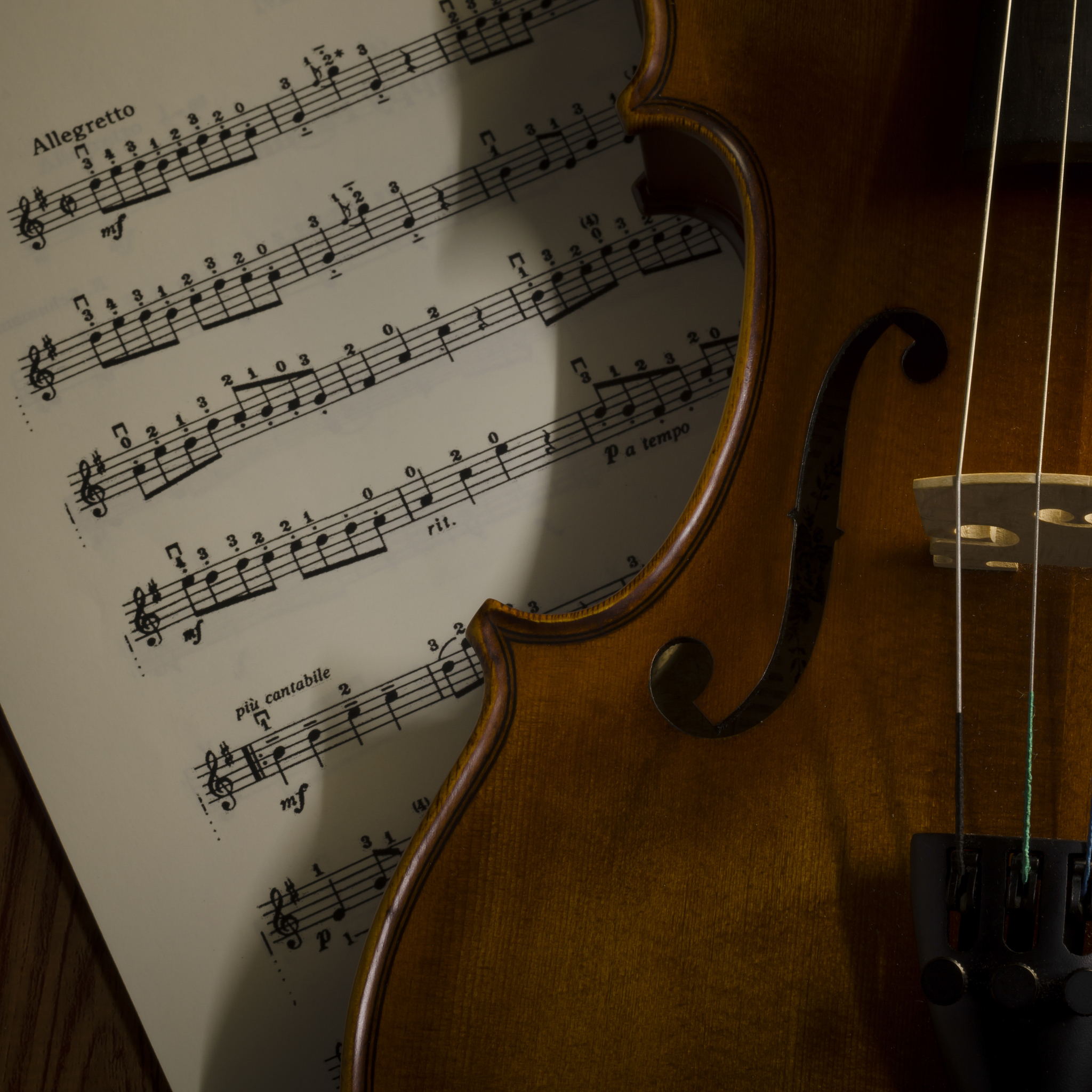 以音乐欣赏的音乐研究：如何深入研究音乐欣赏的理论和实践为题写一篇700字文章