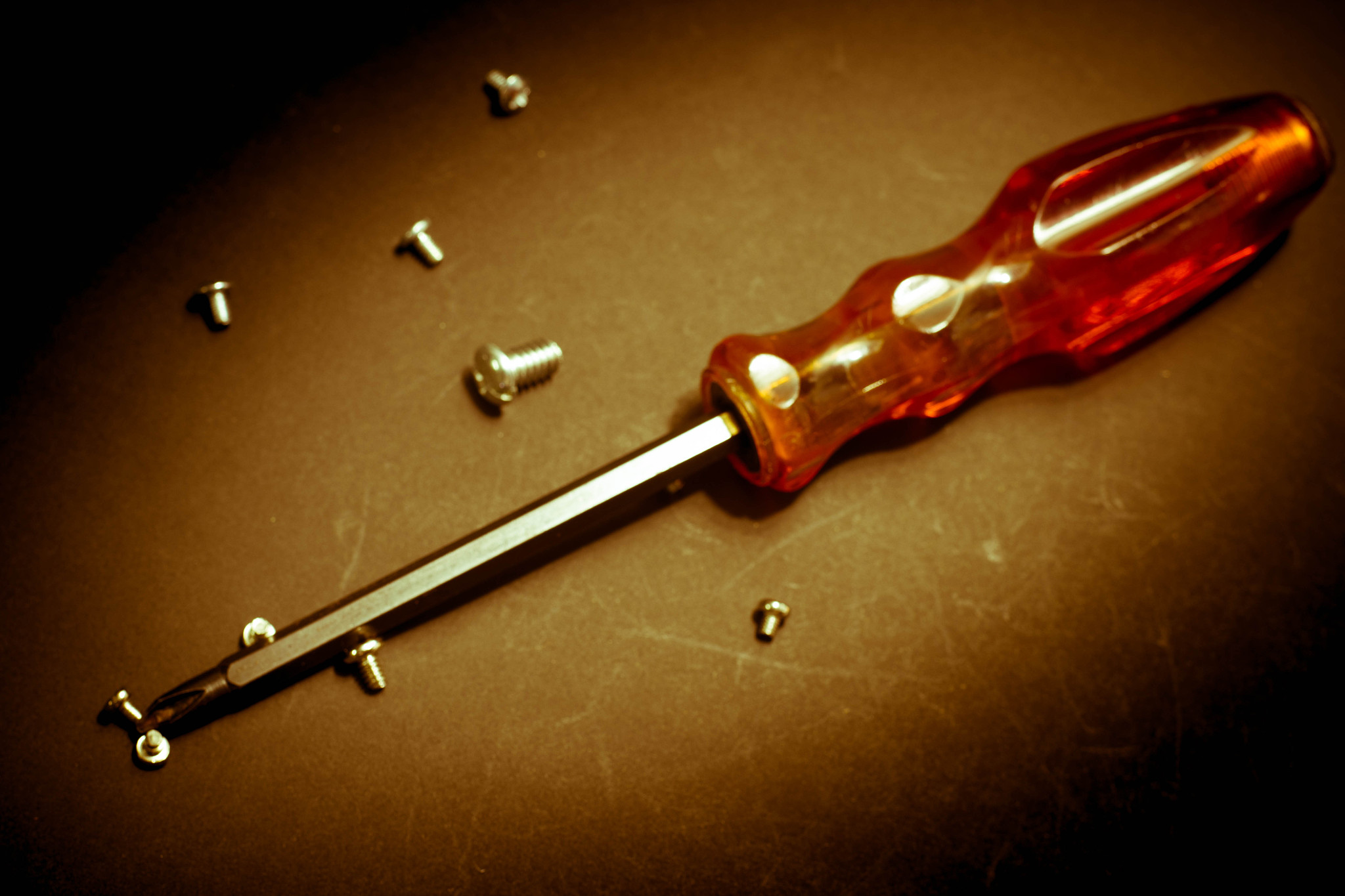 screwdriver and screws