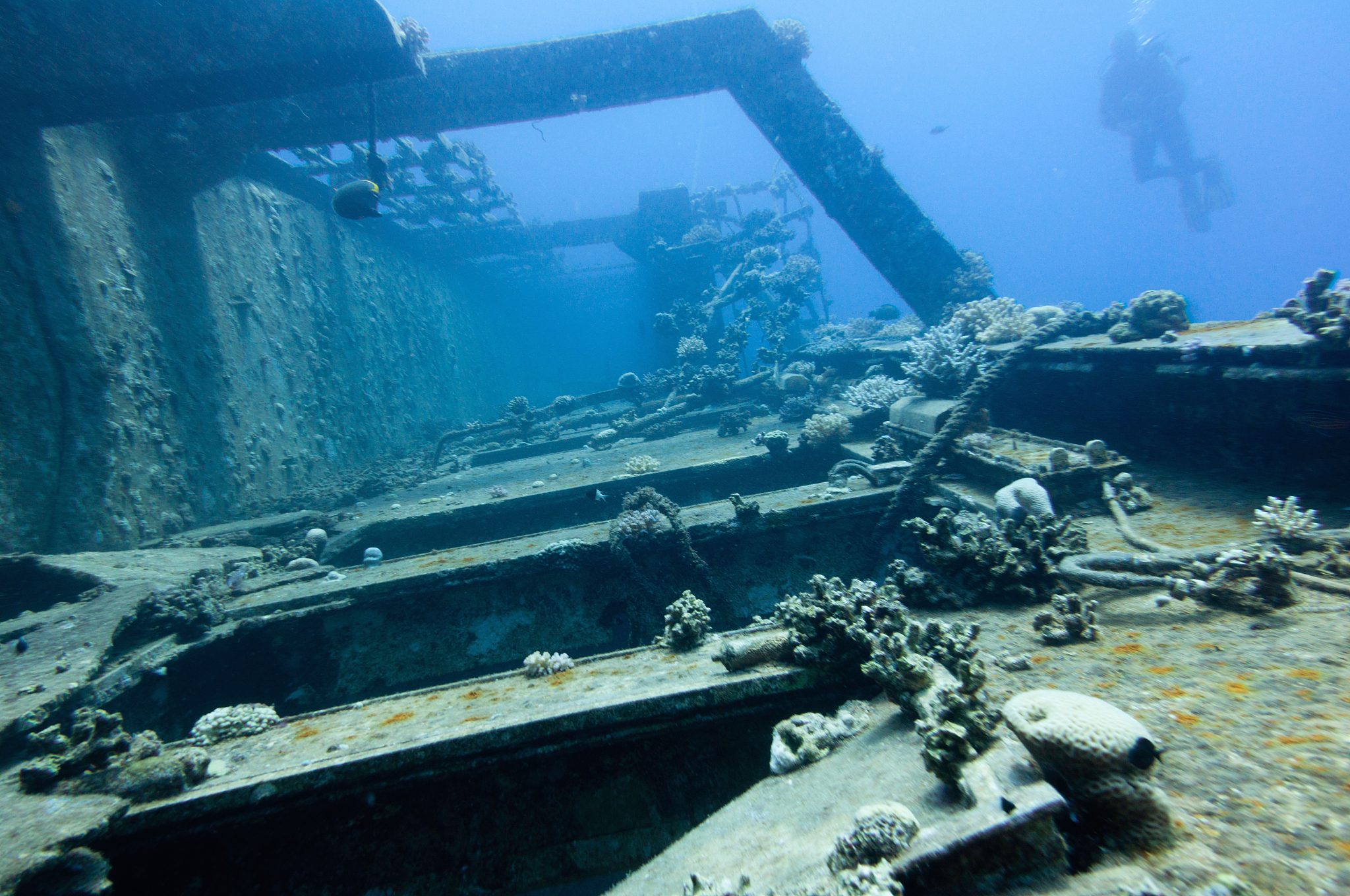 close-up of abandoned ship undersea