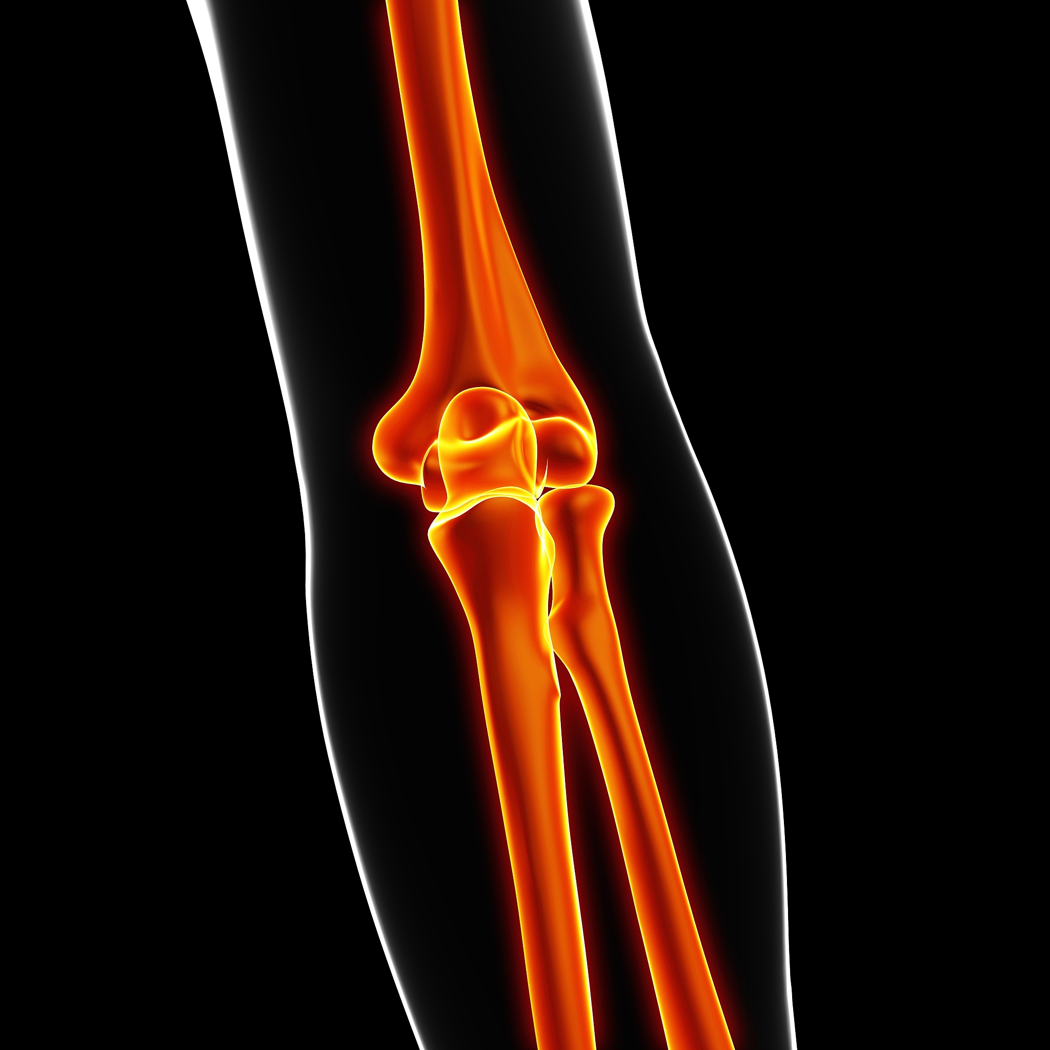 下臂骨骼：人体解剖学 | Lower Arm Bones