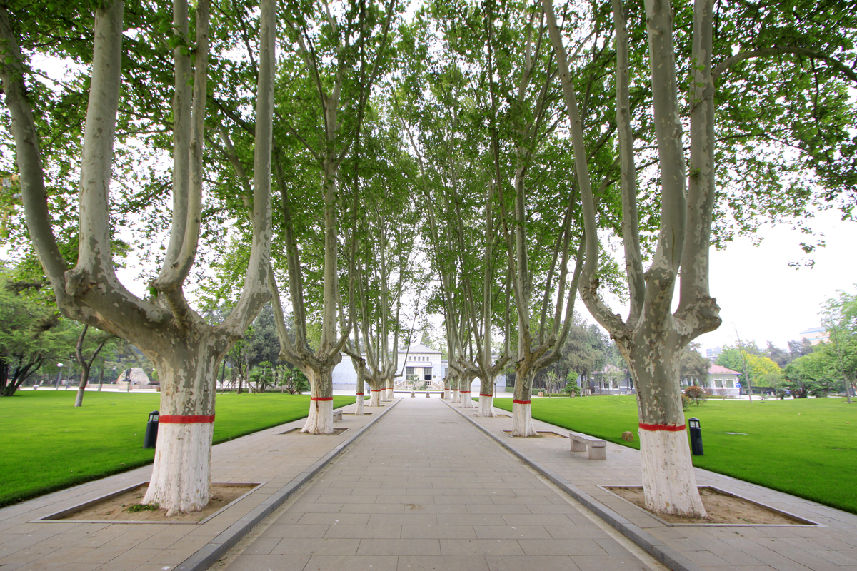 南京商业学校环境照片环境怎么样