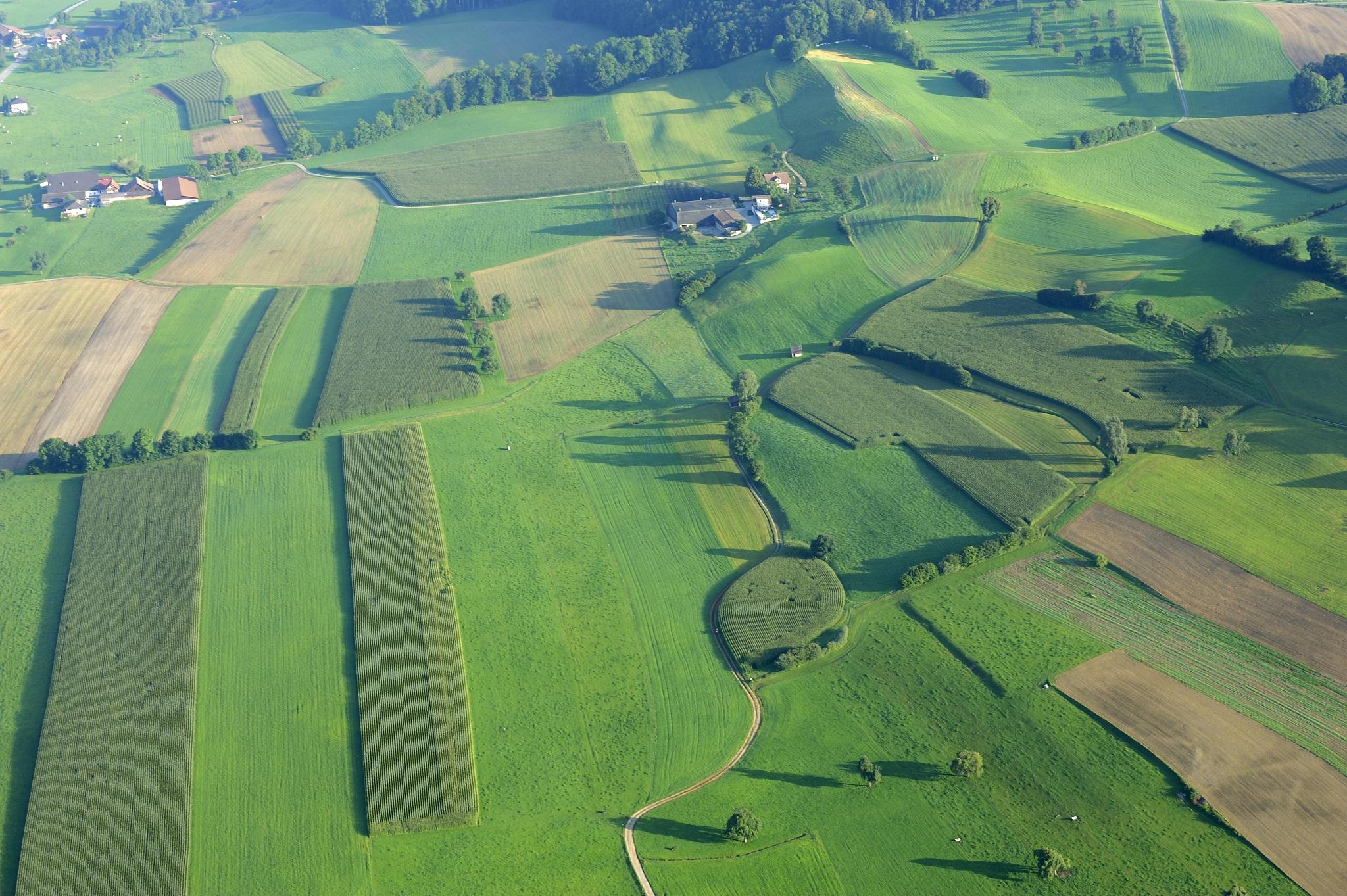 farmland from the air in the lucerne lake valley, hochdorf, swit