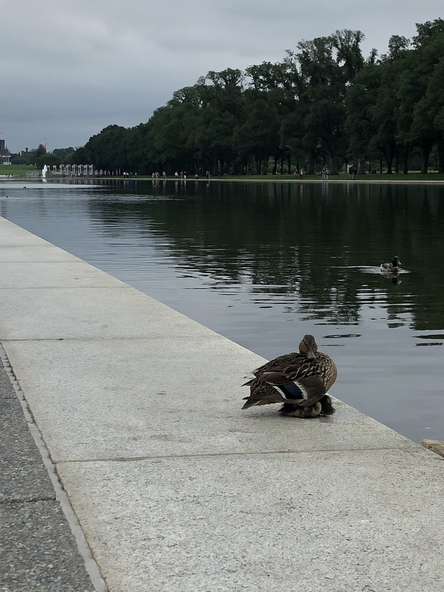 Consejos para combatir el frío: Mantente caliente este invierno
