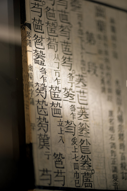 翻译以下古文：王君灼三字薇庵开县人