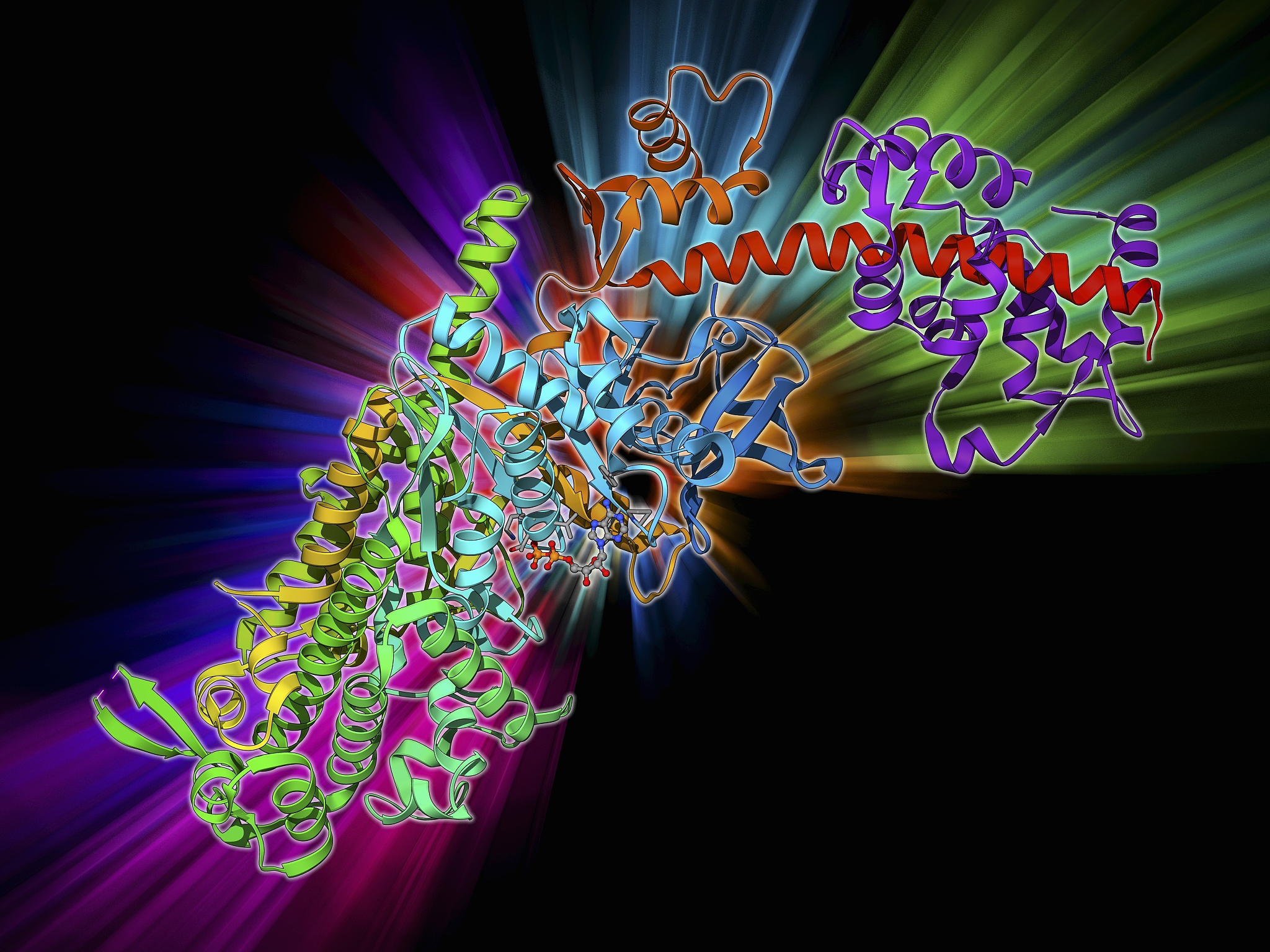 构建生物医学图像拷贝数据集的详细步骤