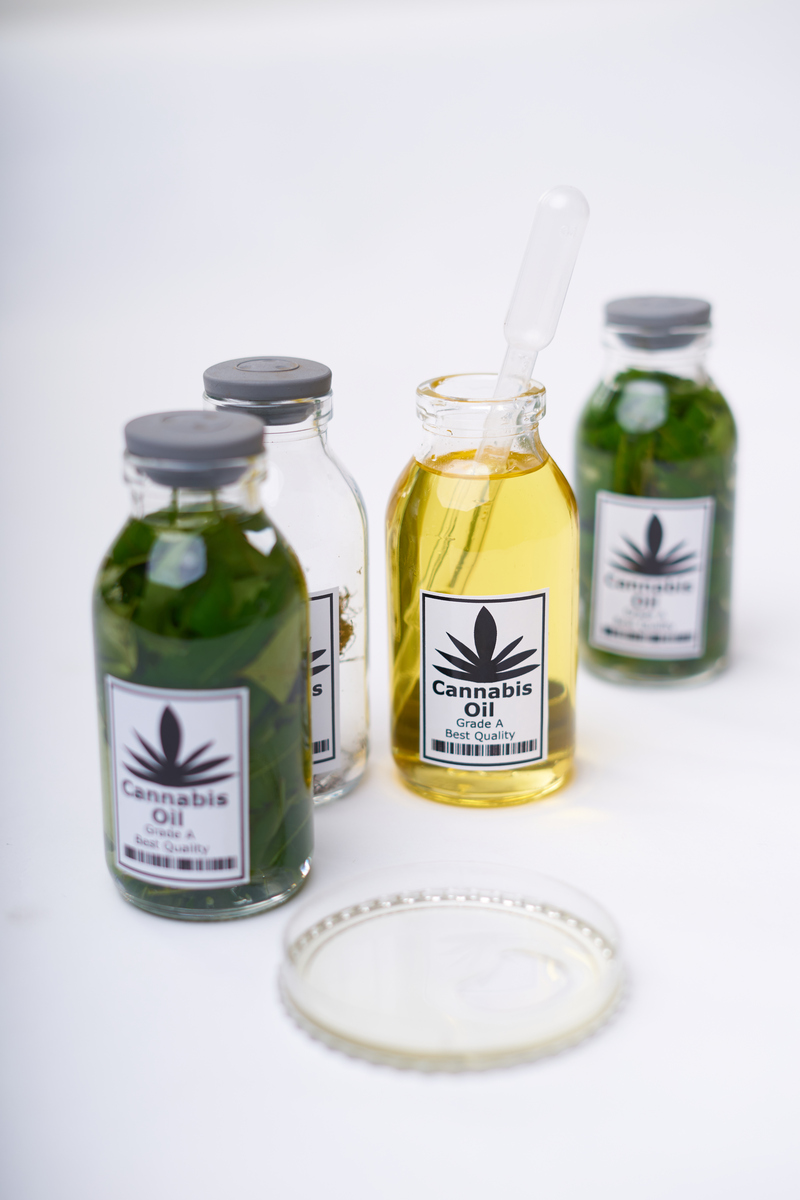 翻译成英文：芝麻Sesamum indicum L属于胡麻科Pedaliaceae胡麻属Sesamum Linn的一年生草本植物是最常见的油料作物之一被认为是最古老的油料作物。芝麻种子中的含油量可达到 50 - 60最健康和富含营养的油料作物之一。从芝麻种子中提取的油脂气味芳香又称作香油除了直接食用的传统用途外也可以用于医药用途如软膏基础剂、粘滑剂、解毒剂。此外芝麻富含芝麻素、芝麻酚和芝麻素等天然