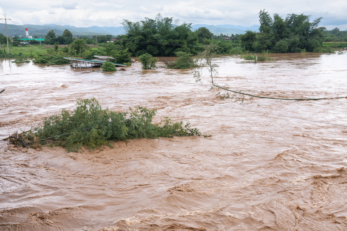 涝害的名词解释