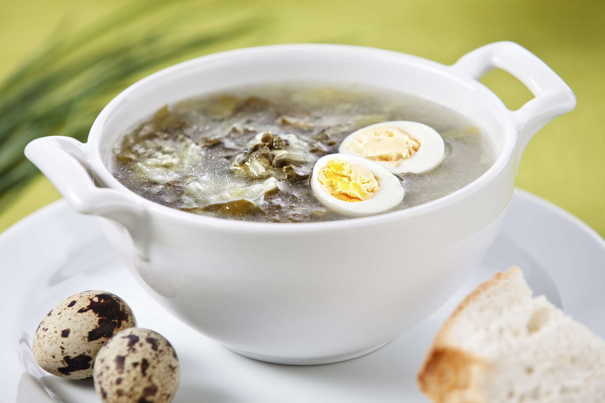 sorrel soup with quail egg on green background