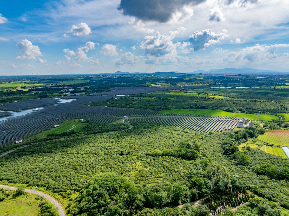 团风县生态资源丰富，拥有丰富的农田、森林、湿地和自然景观