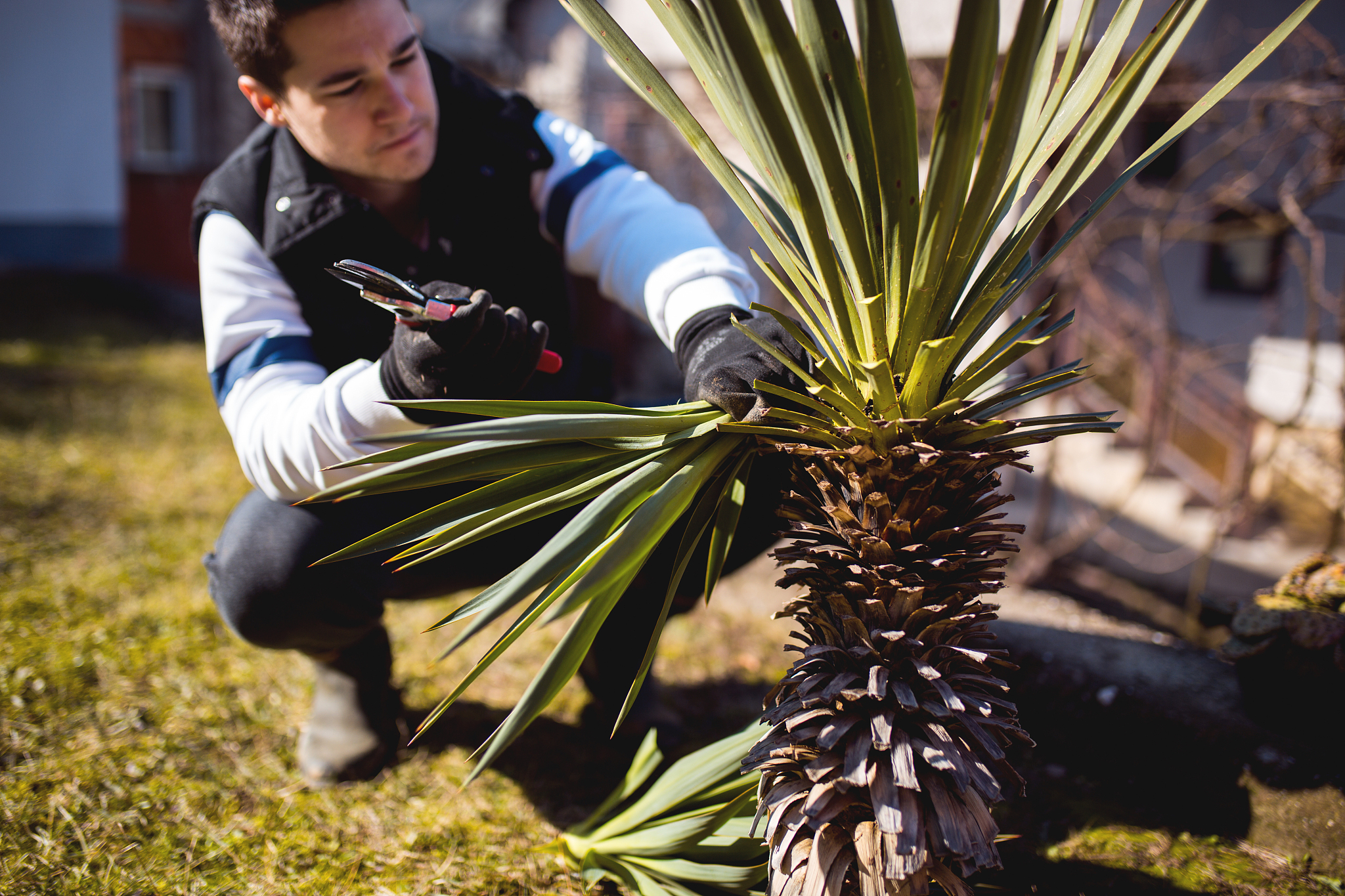 遵义重美职业技术学校园艺专业怎么样？就业前景好吗？