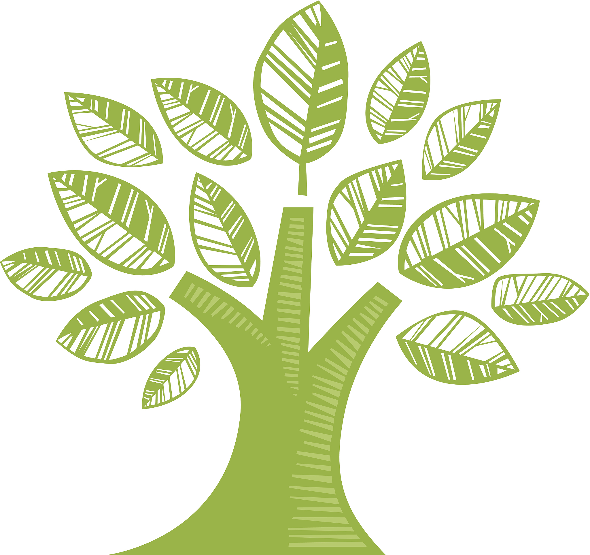 baby tree