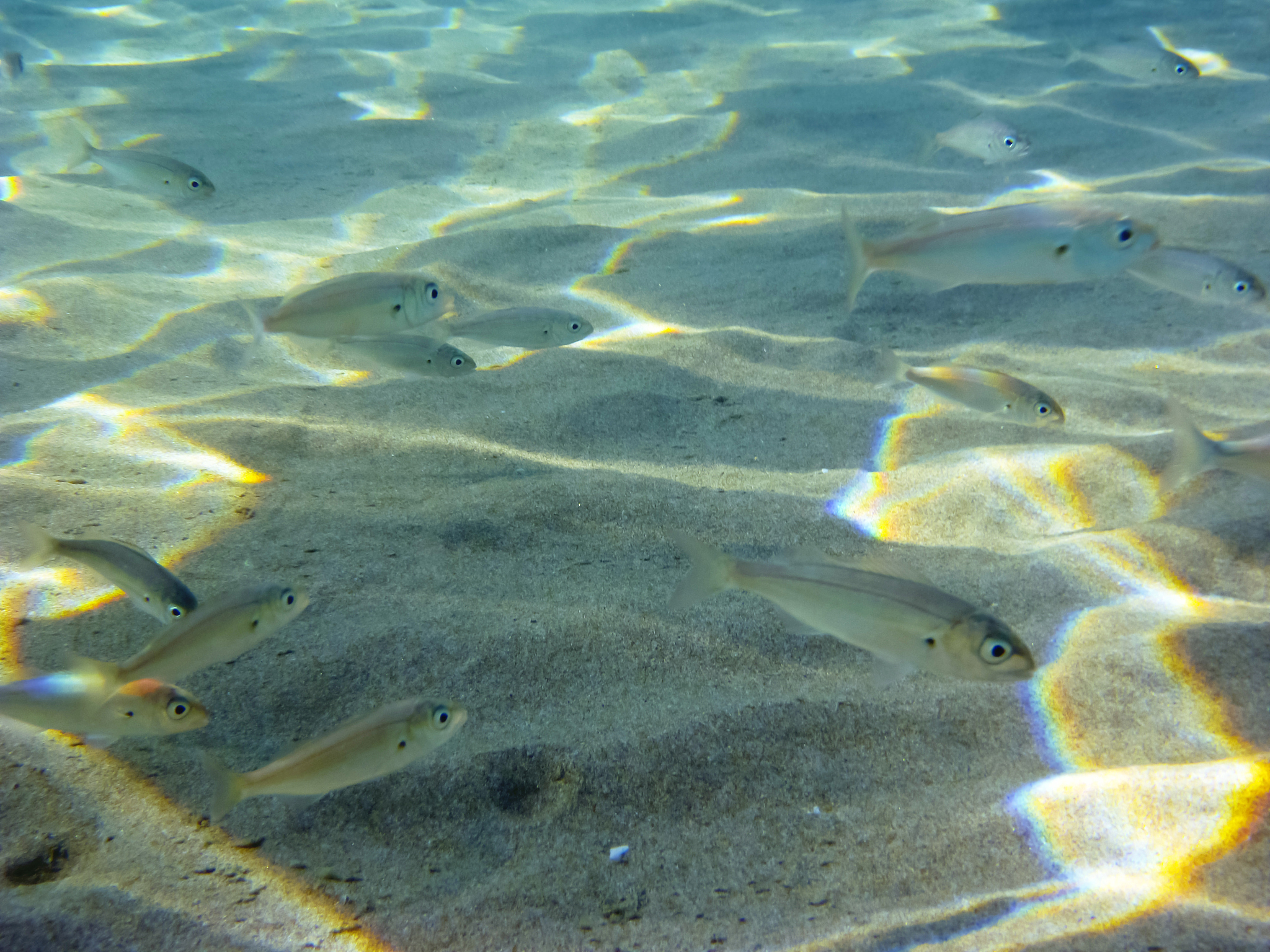 underwater