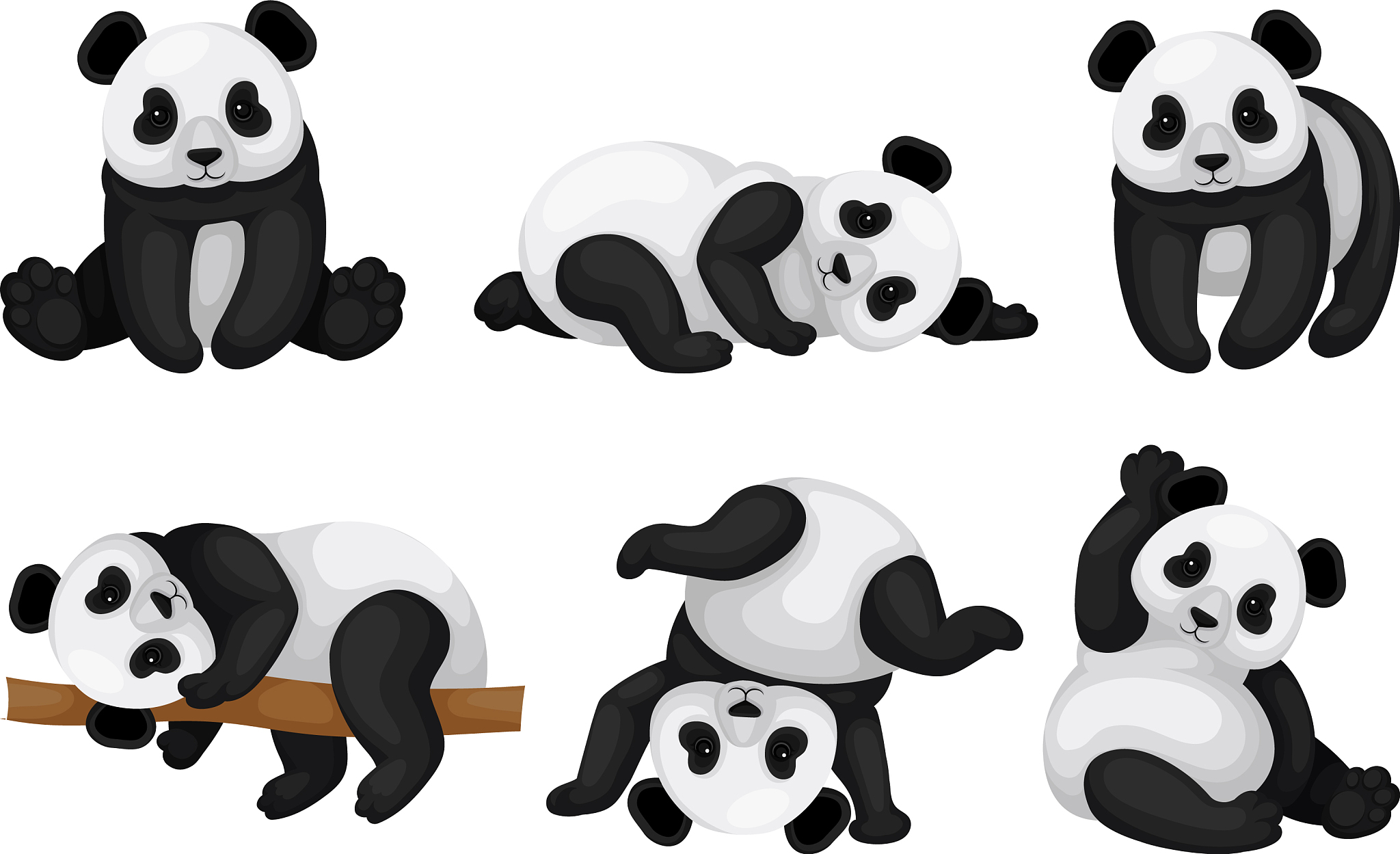 用My favorite animal is a panda写一篇长度为十二句的中国小学3年级的英语短文