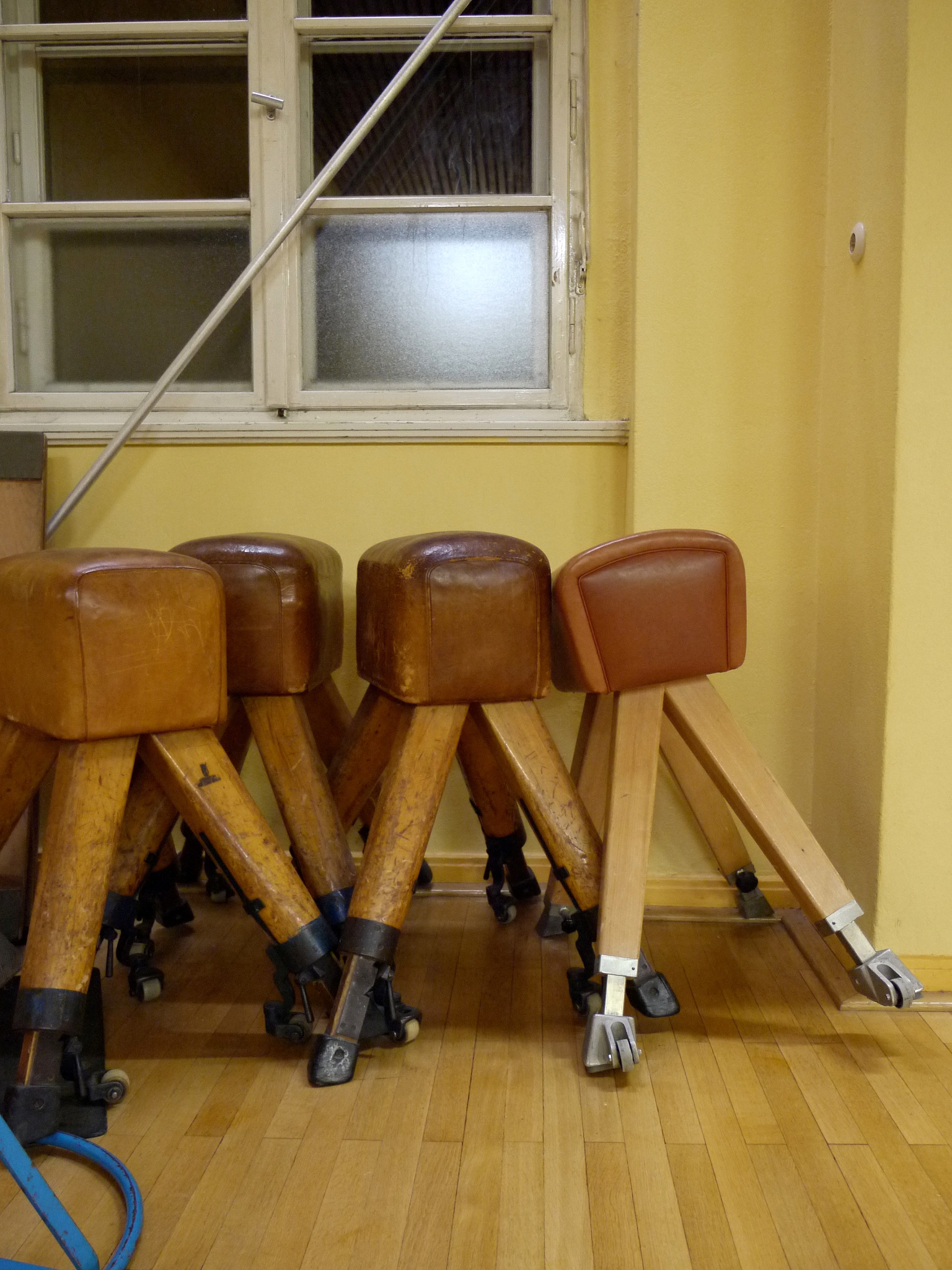 泰州市体育运动学校2021年招生专业有哪些