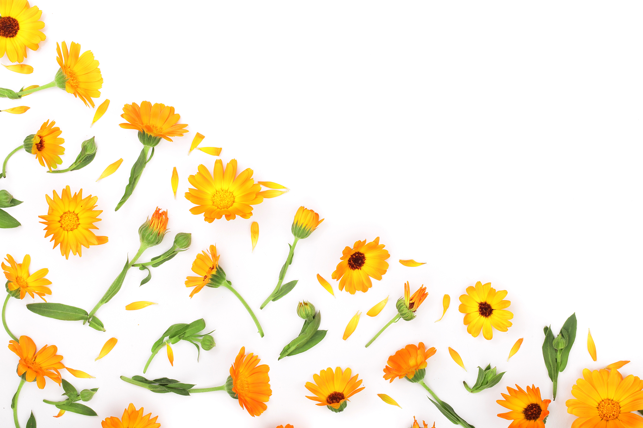 角落里也有风景 写一篇300字小学作文