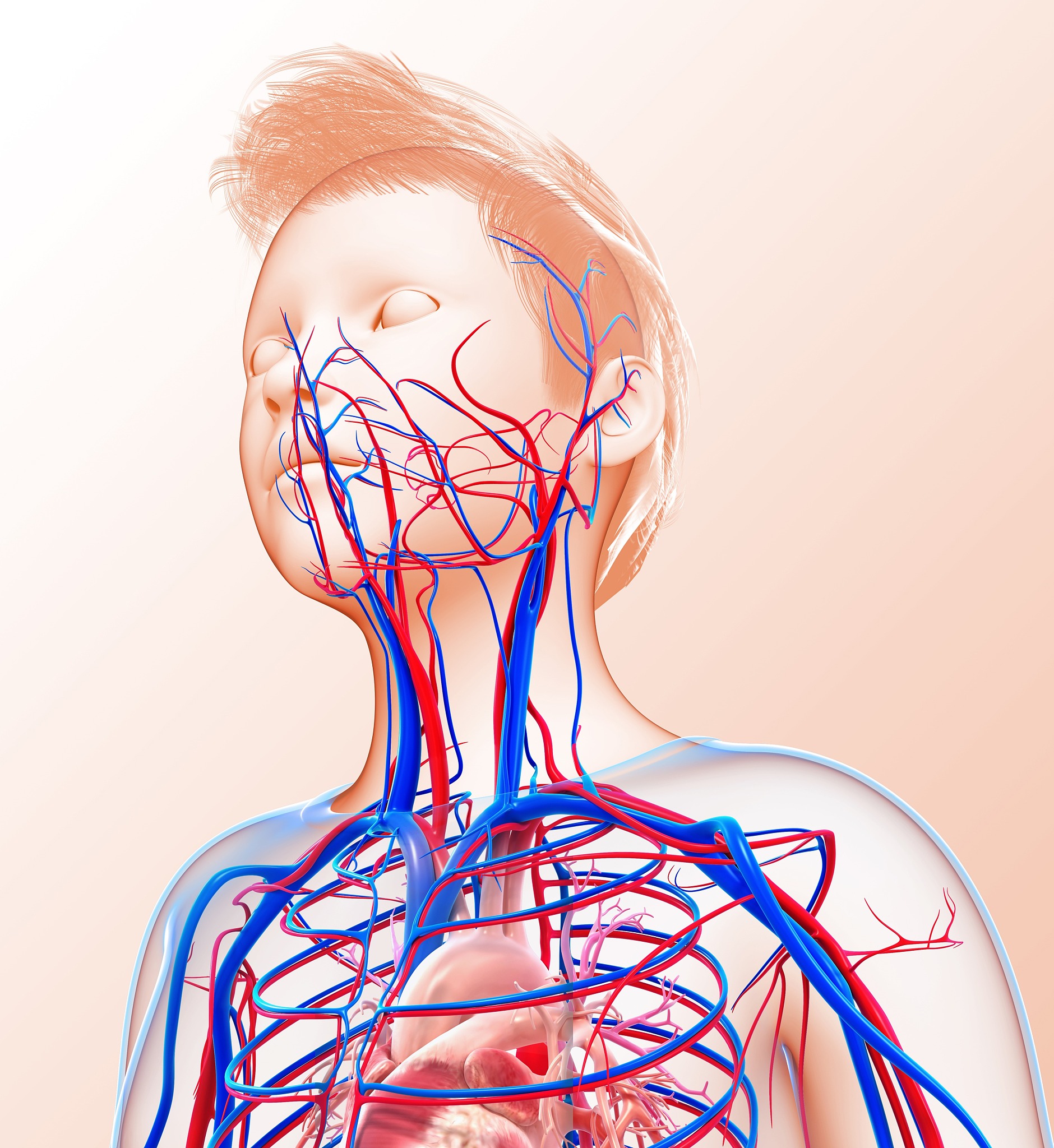 心身医学的组成