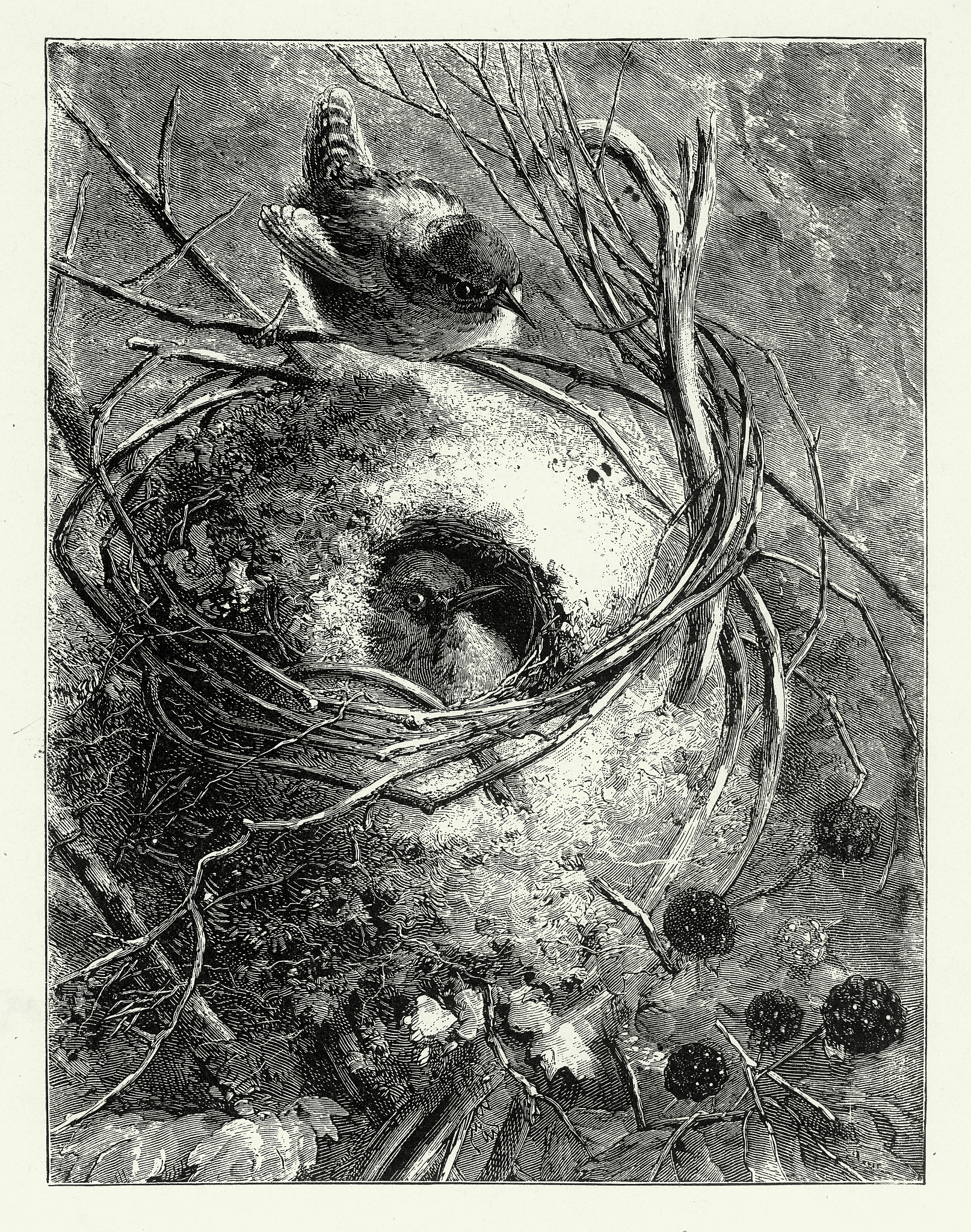 维特根斯坦图像论分析：图像为何不能描绘自身？