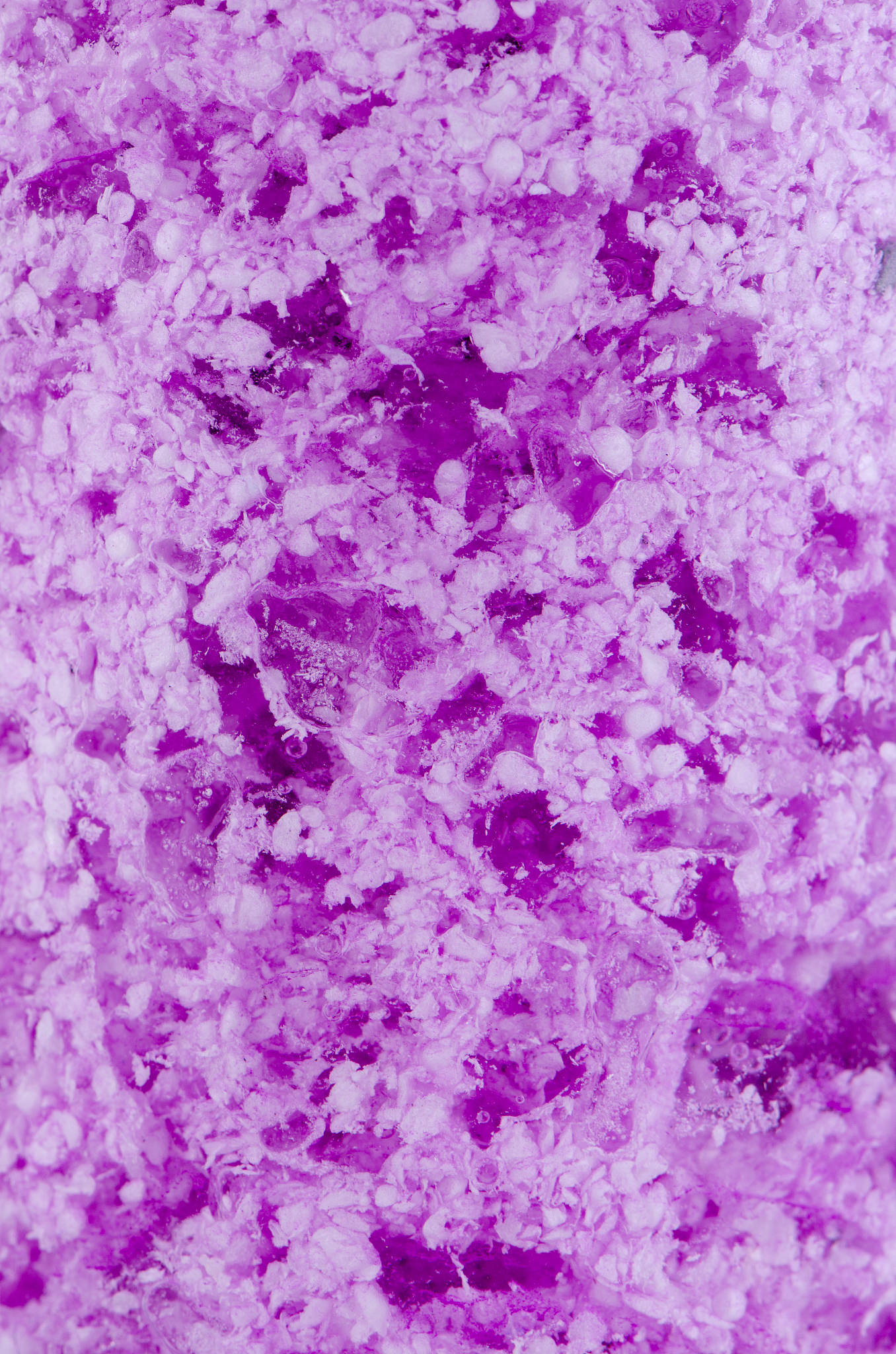 深圳市盐港中学2022年招生简章