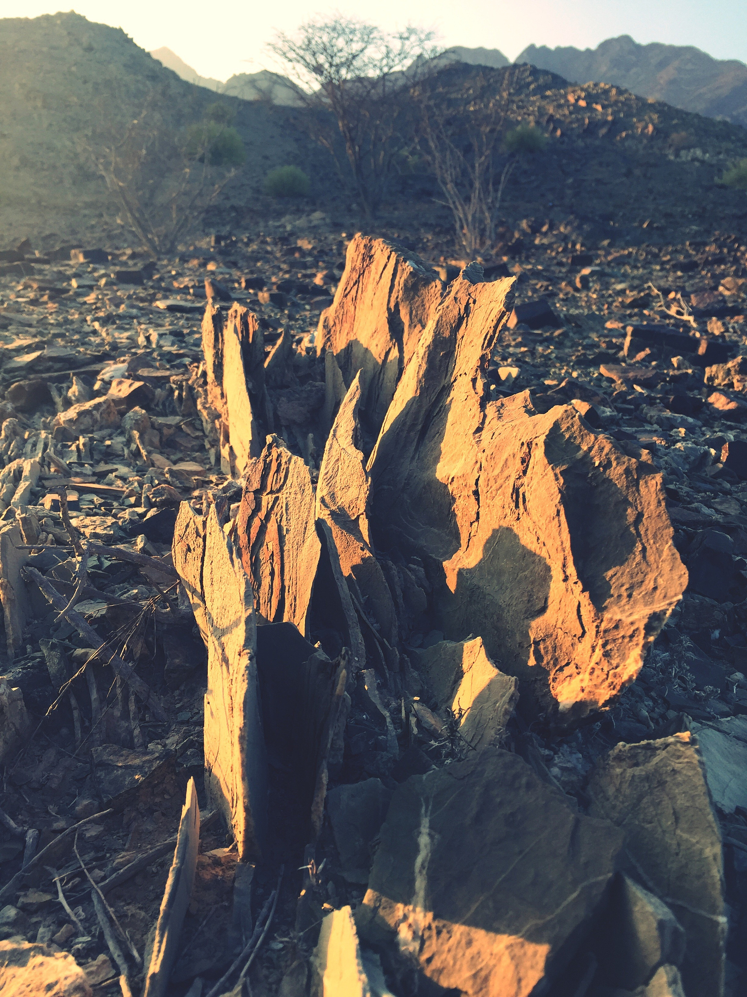 high angle view of rock formations on field