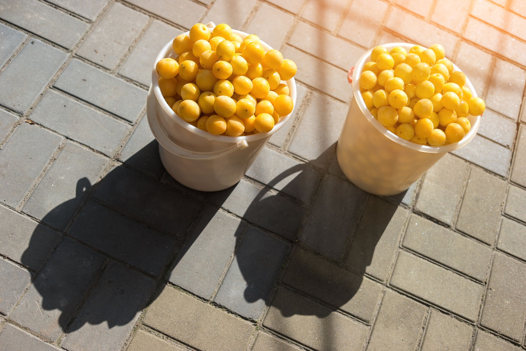 原味鸡蛋仔&奶茶，30字好评！口感丰富，值得推荐！