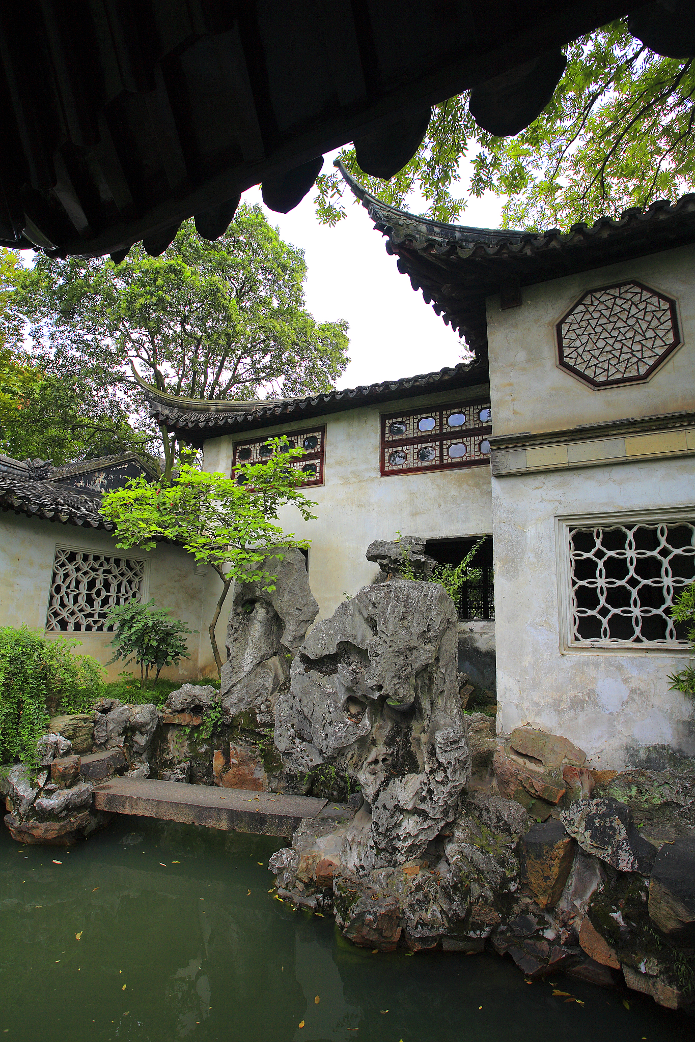 苏州思园游记：感受古典园林的诗意与宁静