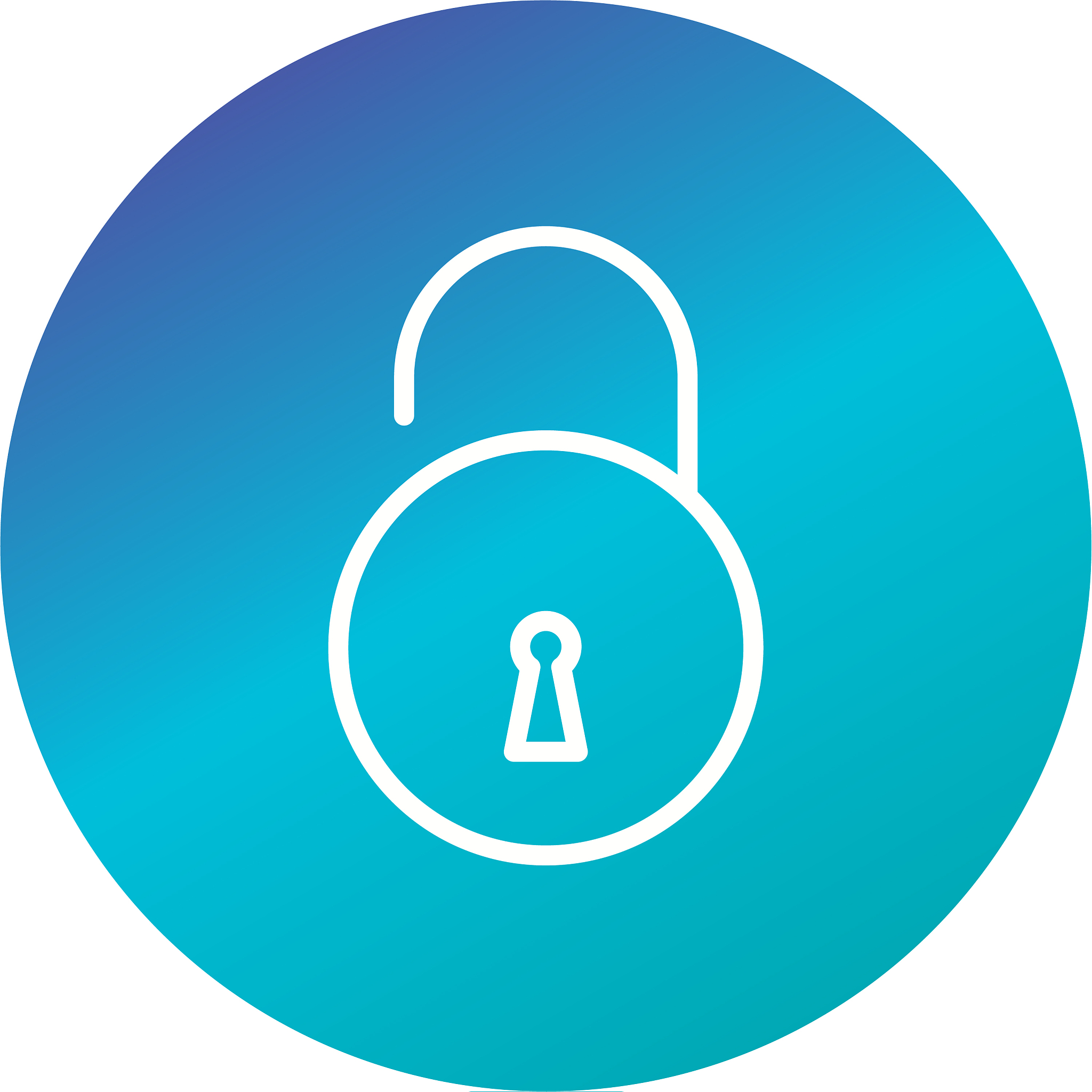 unlock icon