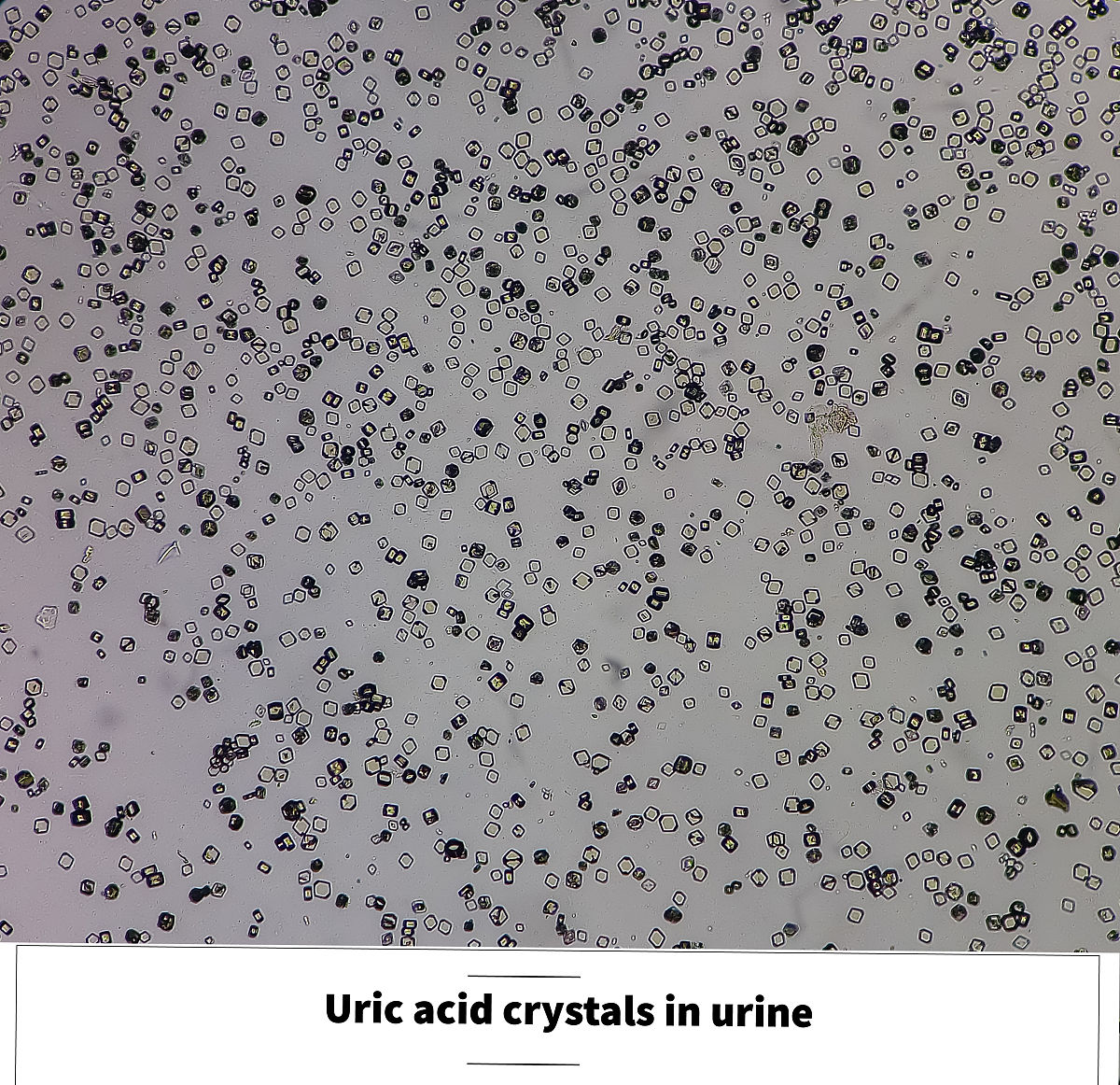 沉淀反应实验：学什么？